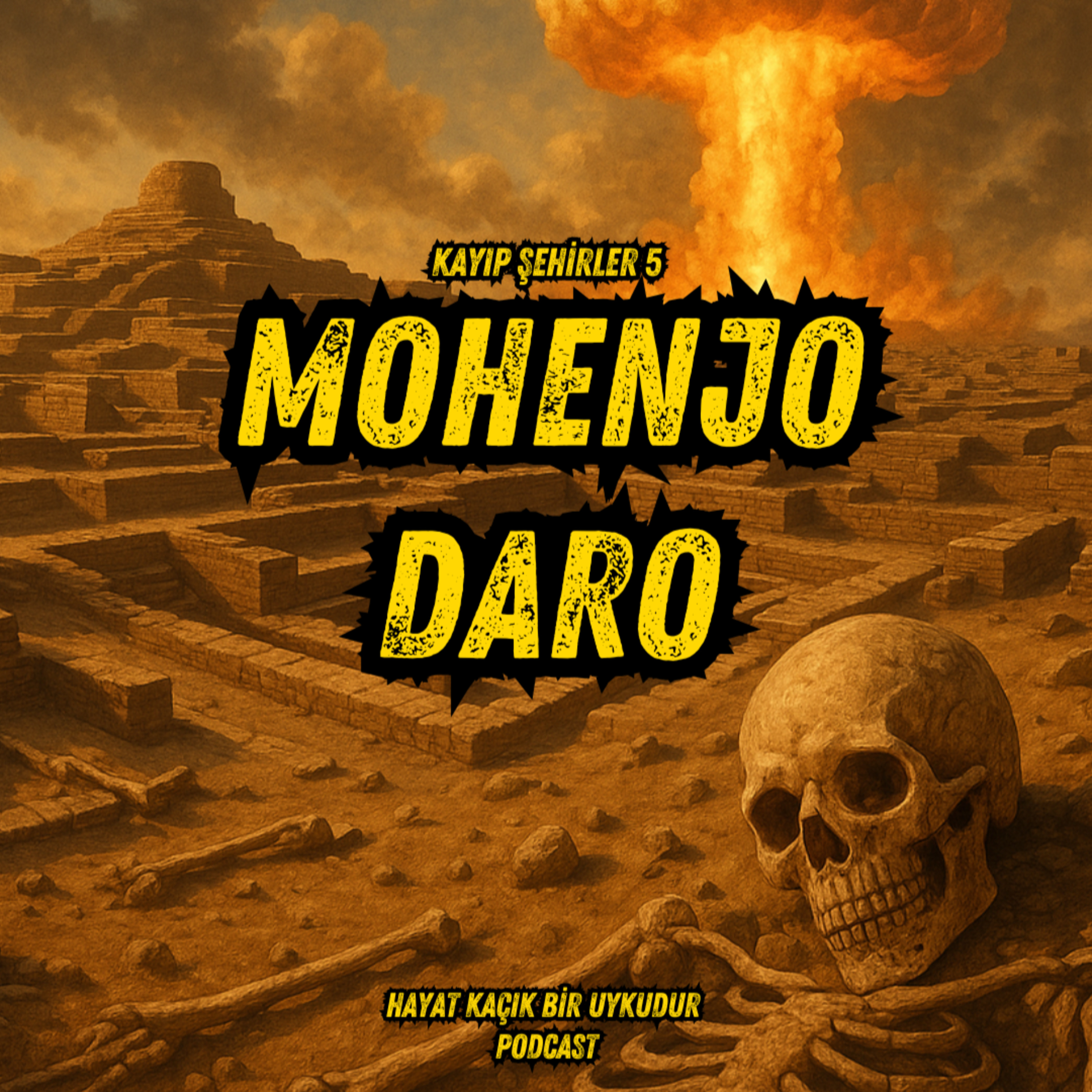 #317 Kayıp Şehirler 5: Mohenjo Daro
