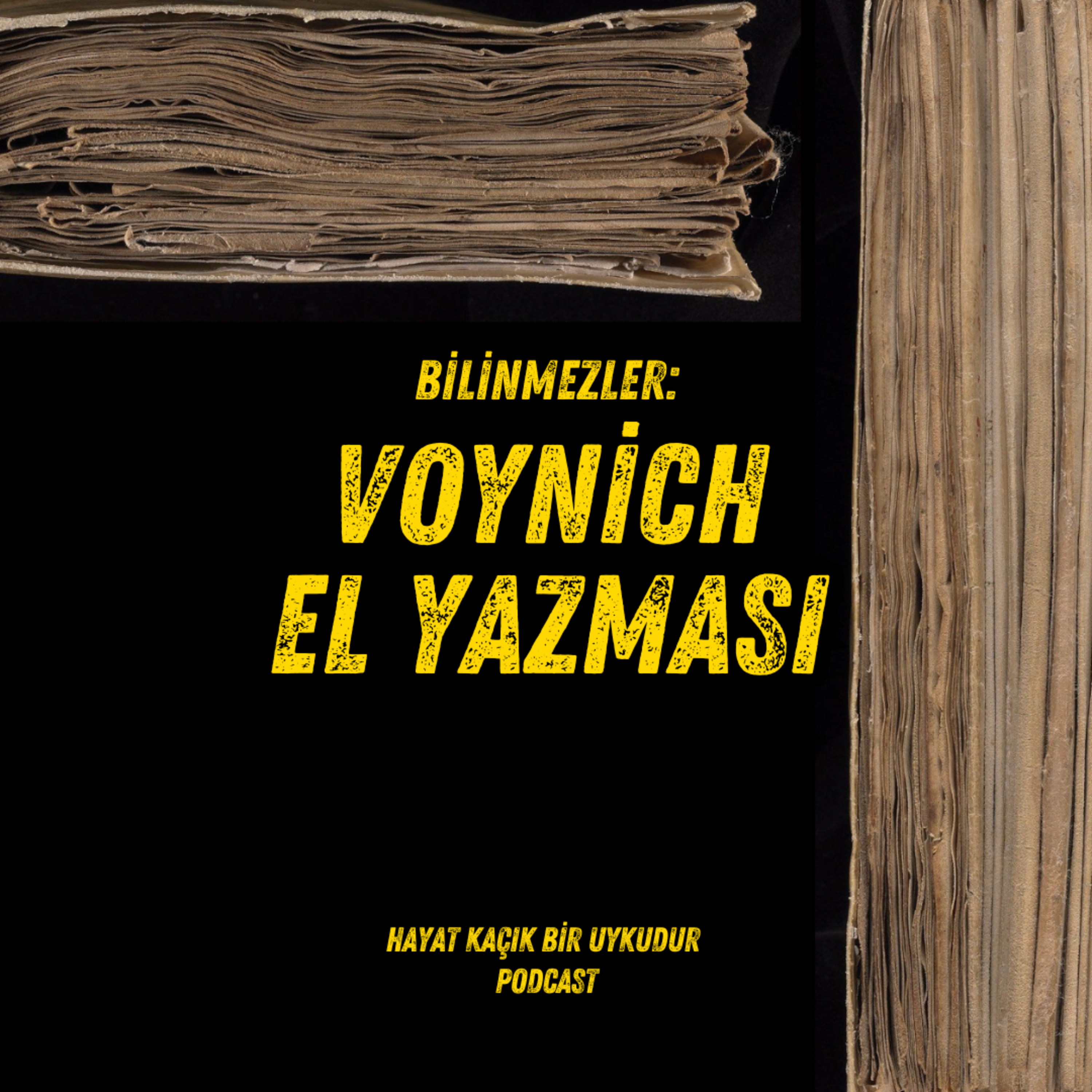 #321 Bilinmezler: Voynich El Yazması