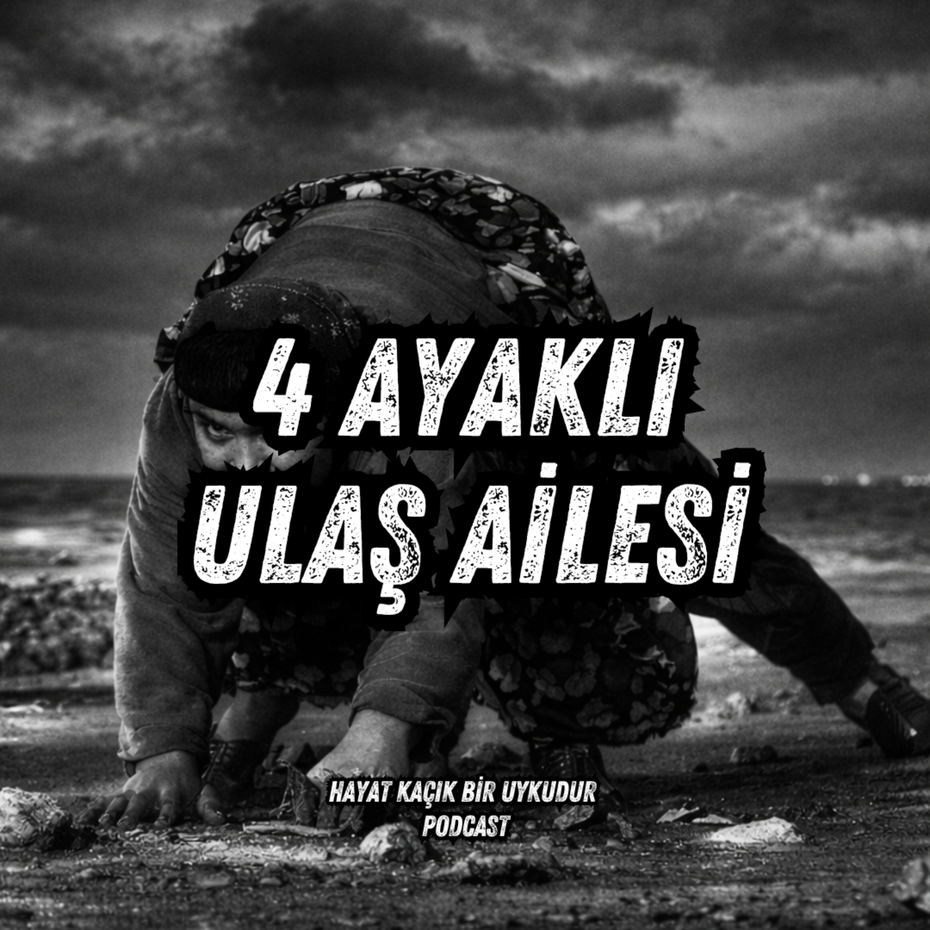 #352 Dört Ayaklı Ulaş Ailesinin Hikayesi | Anadolu'dan Hikayeler
