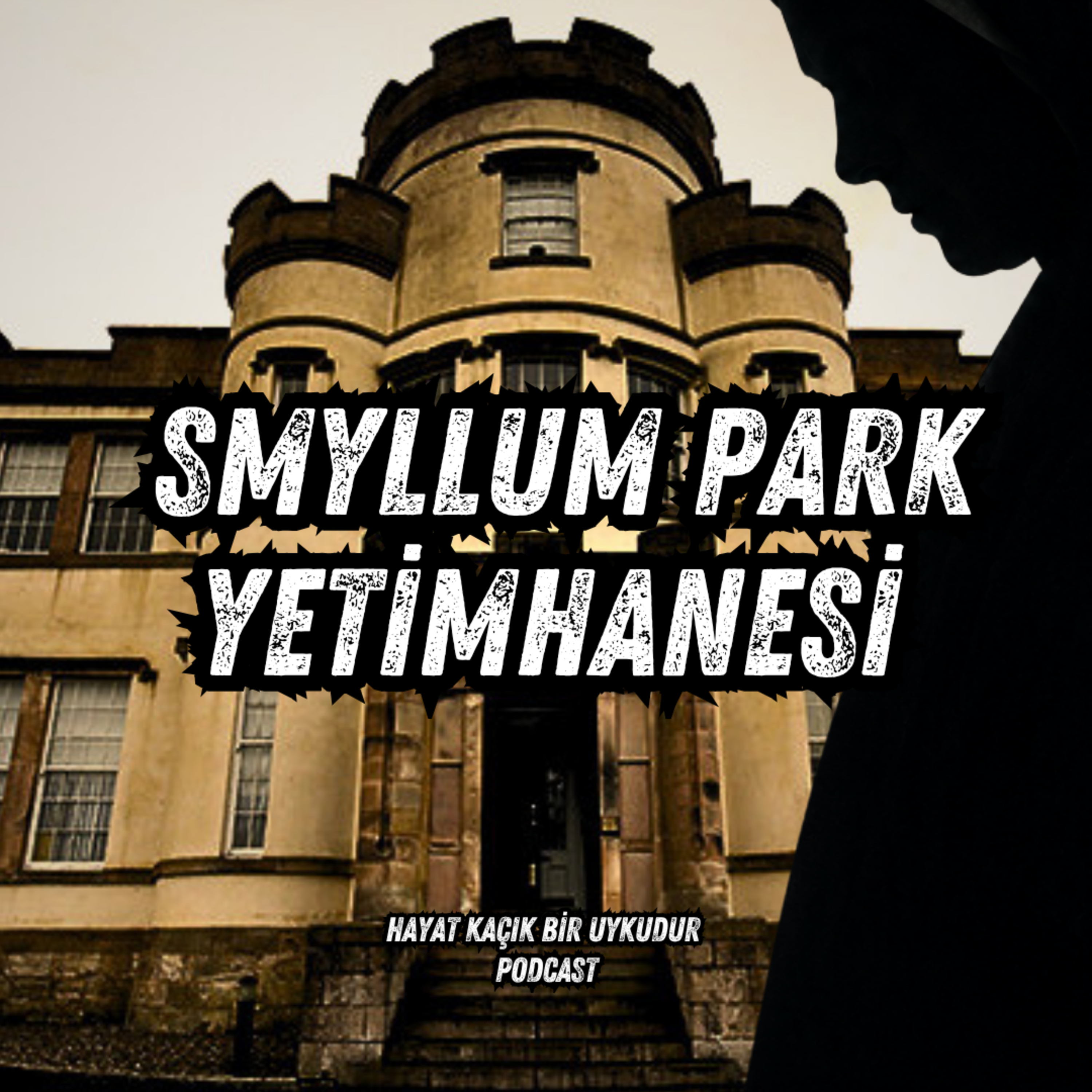 #367 Kaybolan Çocuklar: Smyllum Park Yetimhanesi episode artwork