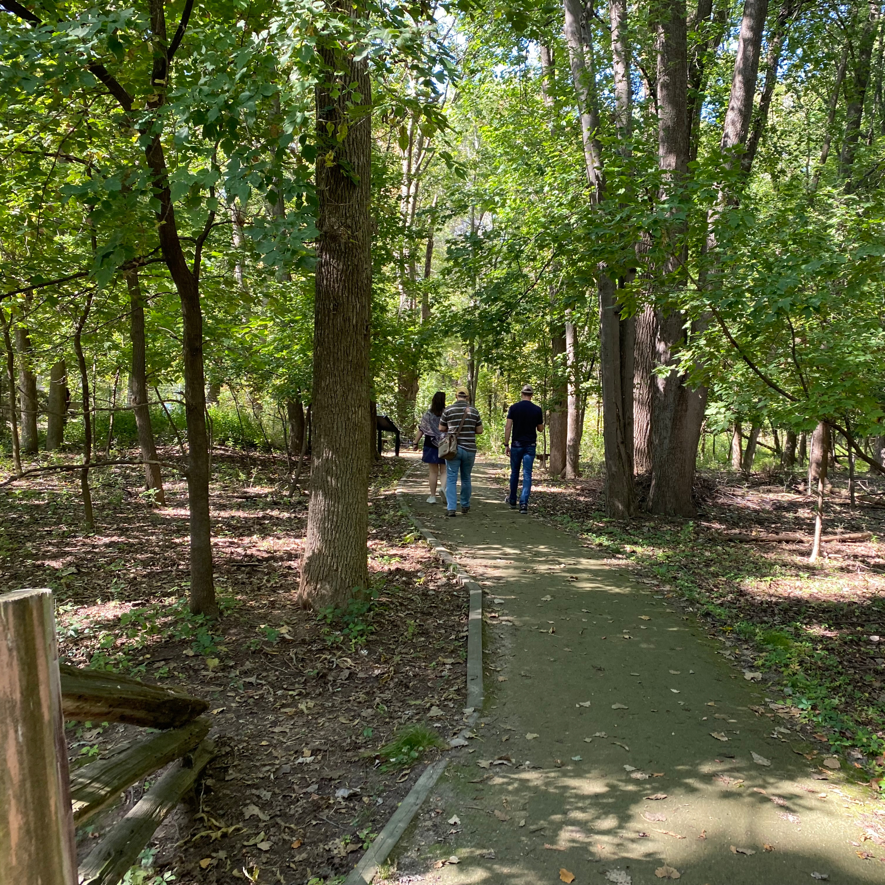 Episode 68: “Let Our Light Shine”