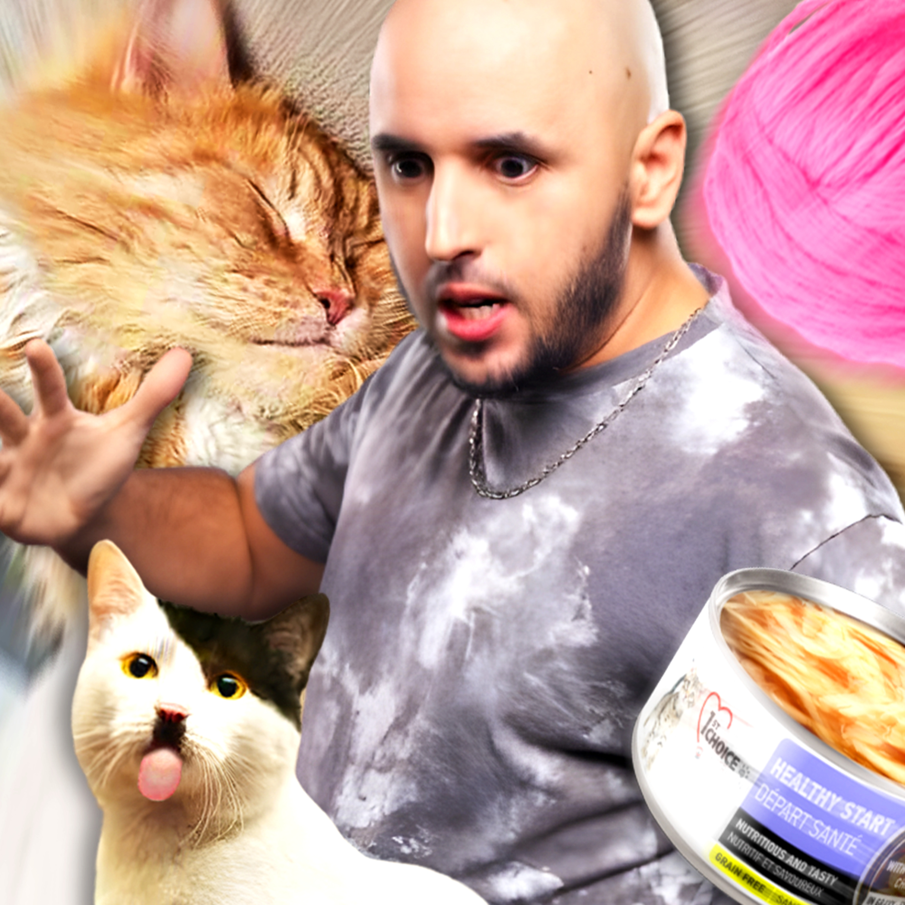 MES CHATS NE ME RESPECTENT PAS episode artwork