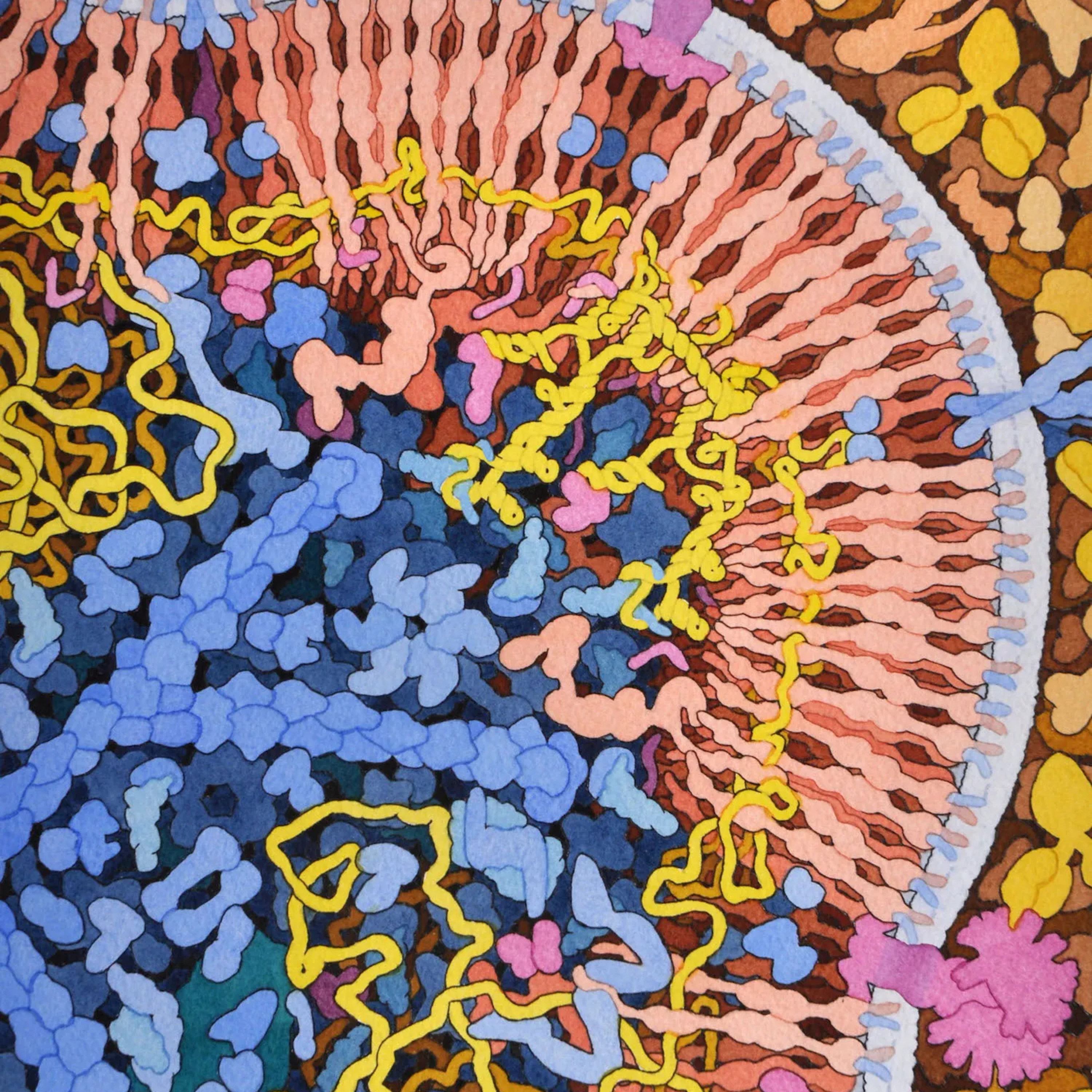 Fast Biology episode artwork