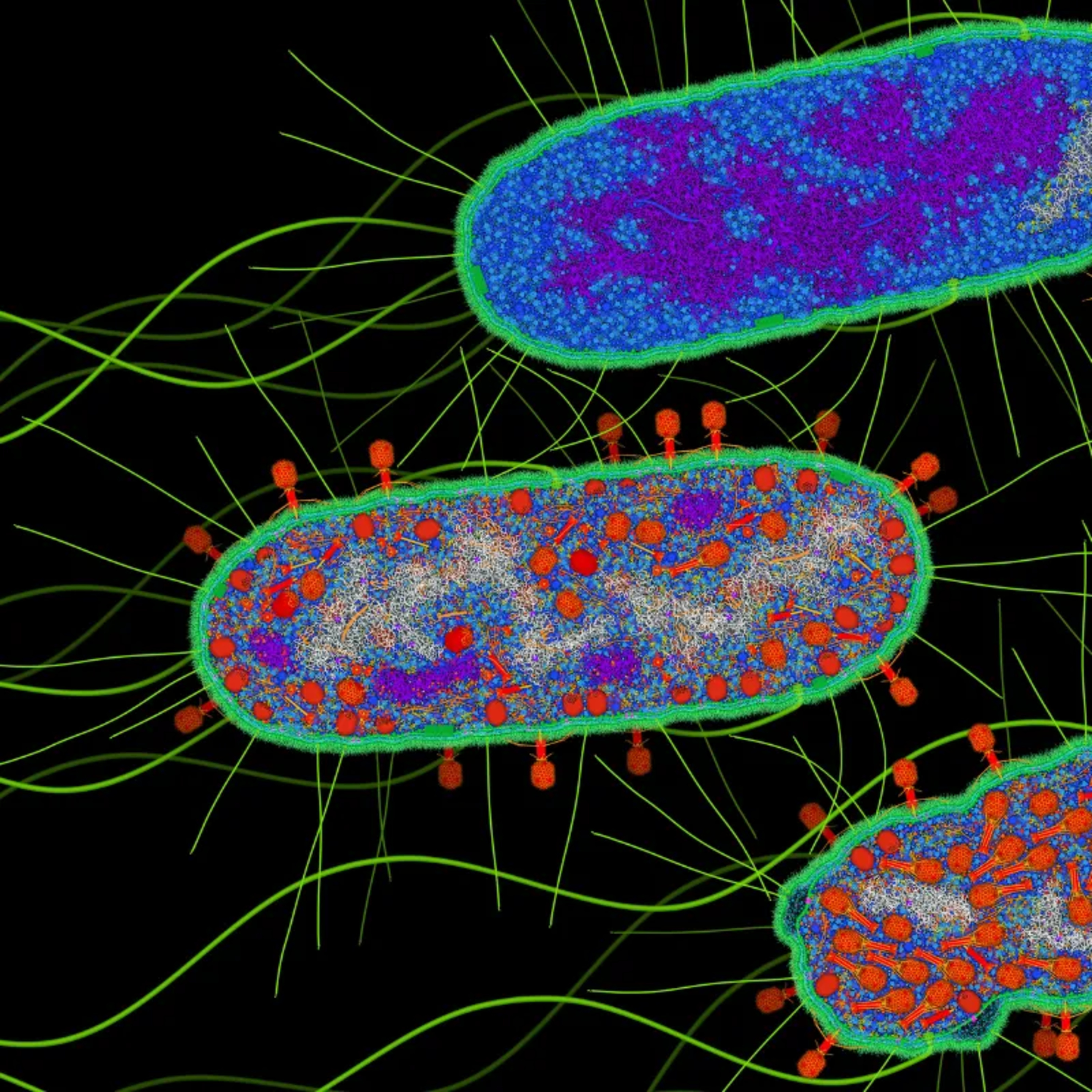 Scaling Phage Therapy
