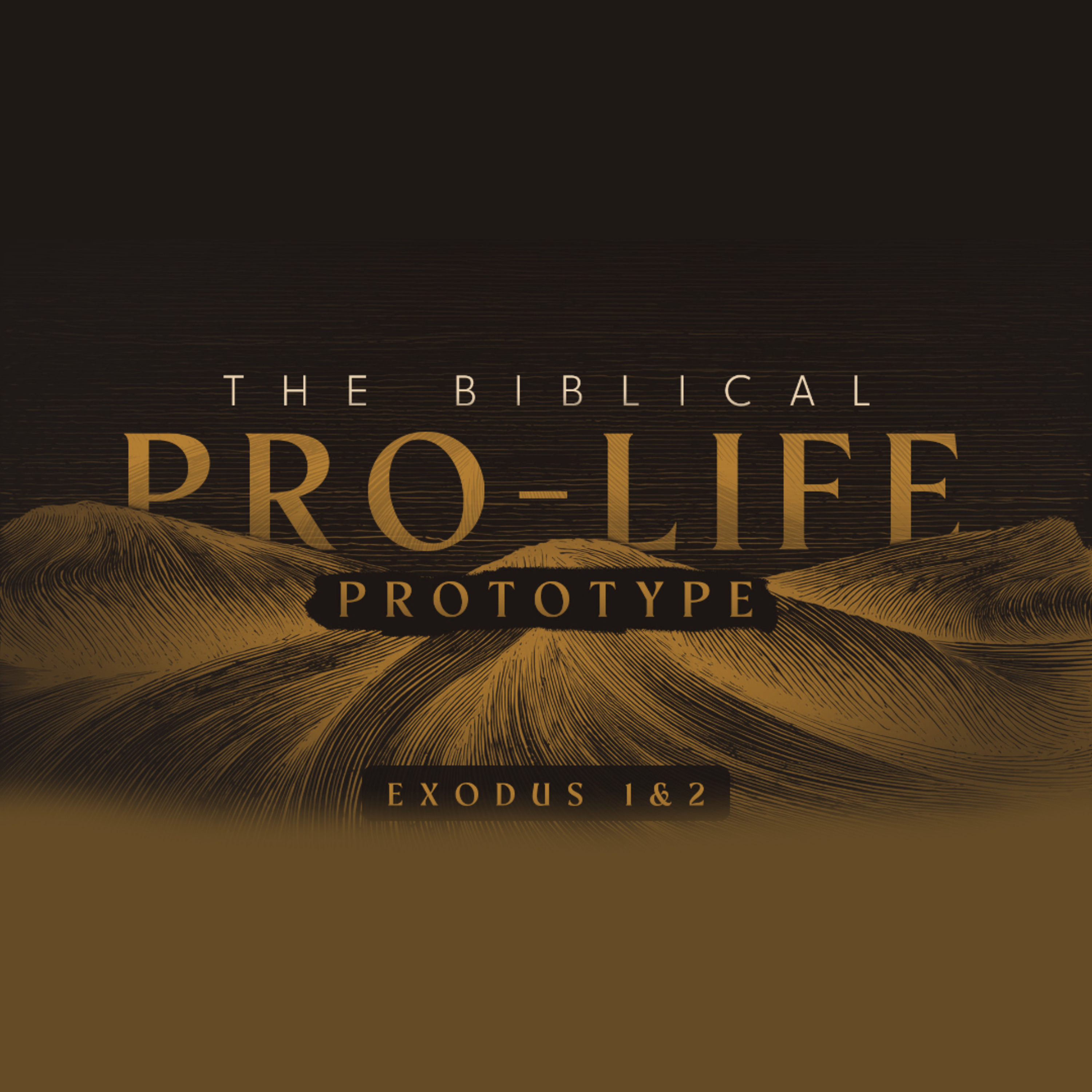 The Biblical Pro-Life Prototype | Rev. Greg Butler | 2/2/25 - AM episode artwork