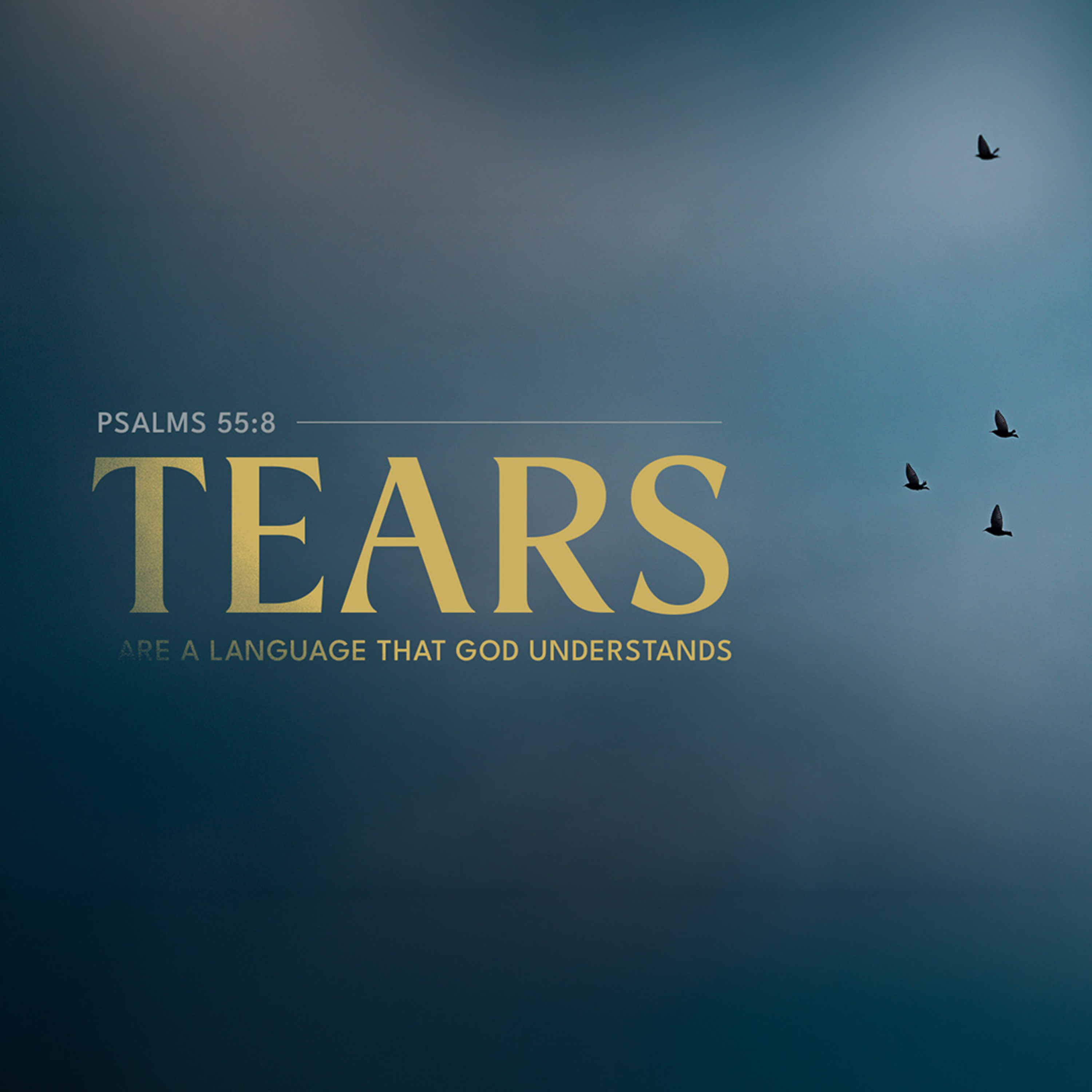 Tears are a Language that God Understands | Rev. Greg Butler | 3/22/26 - AM episode artwork