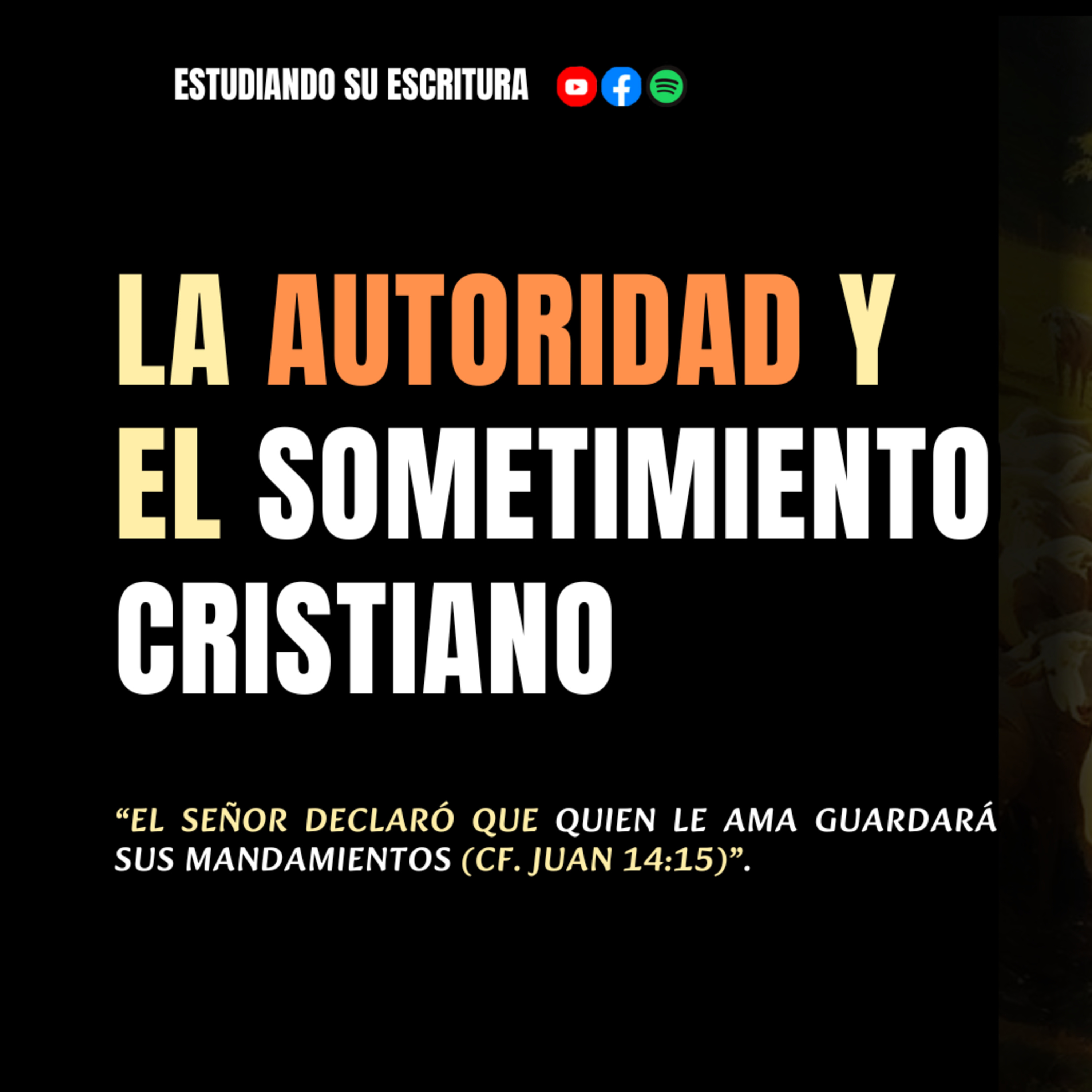 La Autoridad y el Sometimiento Cristiano / "Obligación Voluntaria"