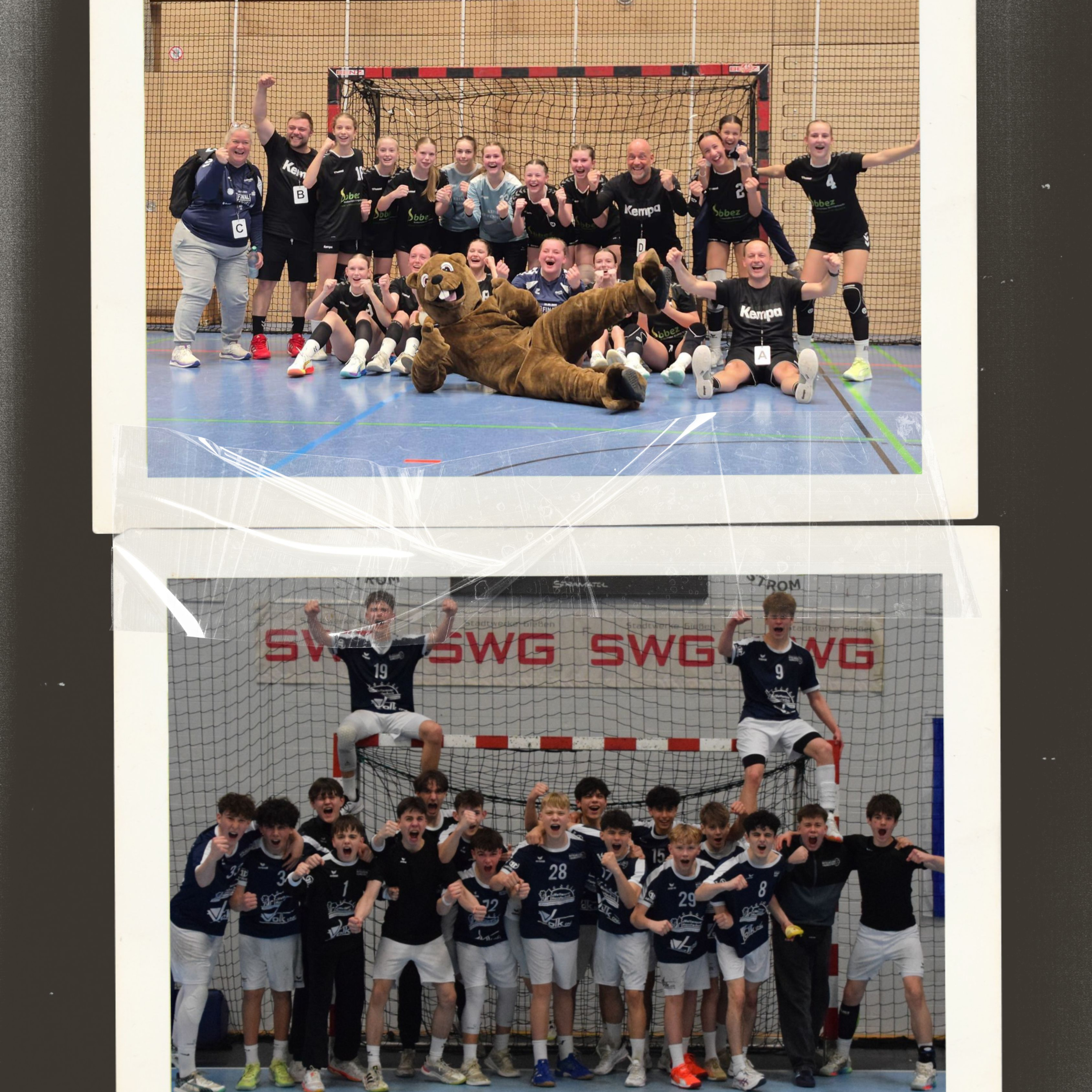 Handballkäs