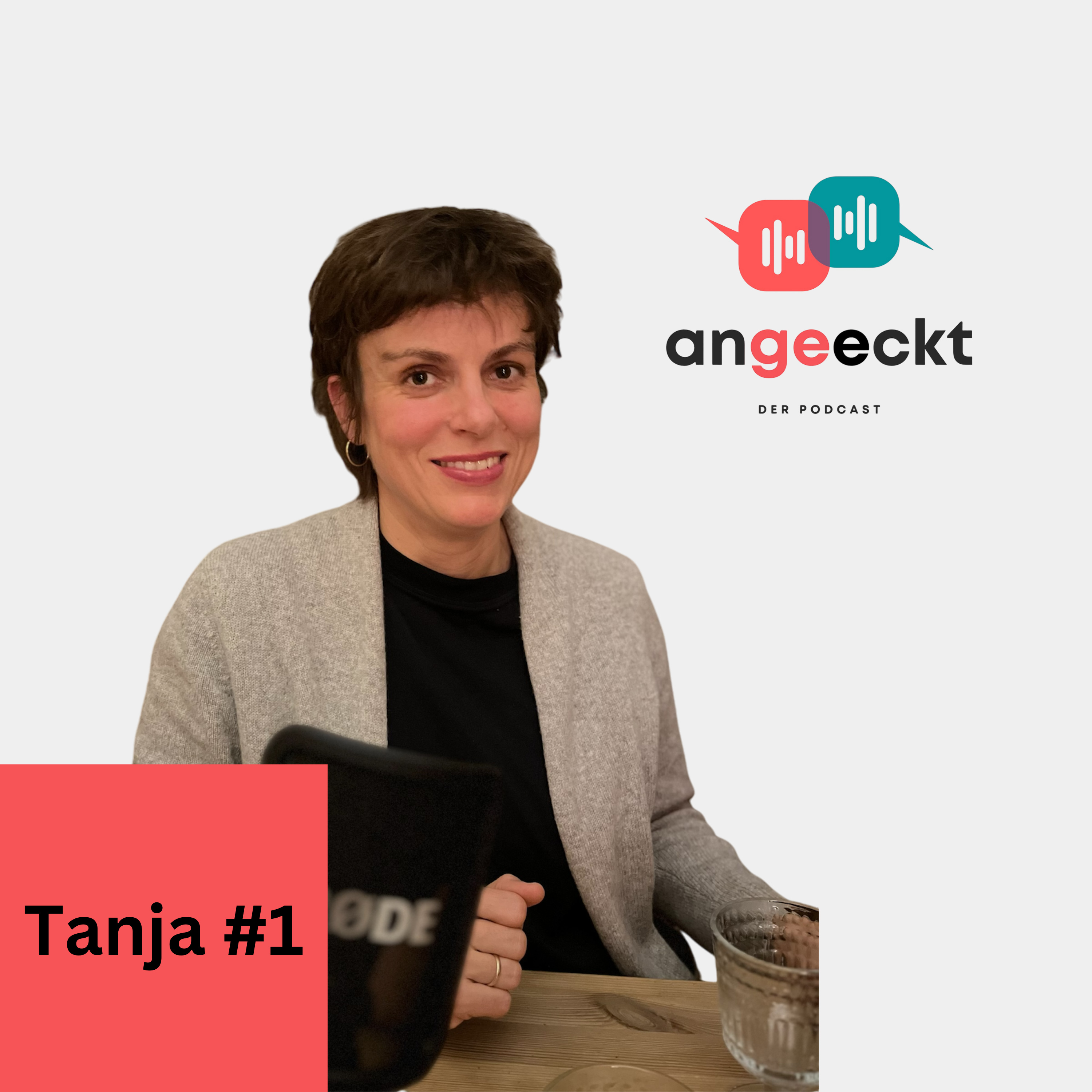 angeeckt – der Podcast