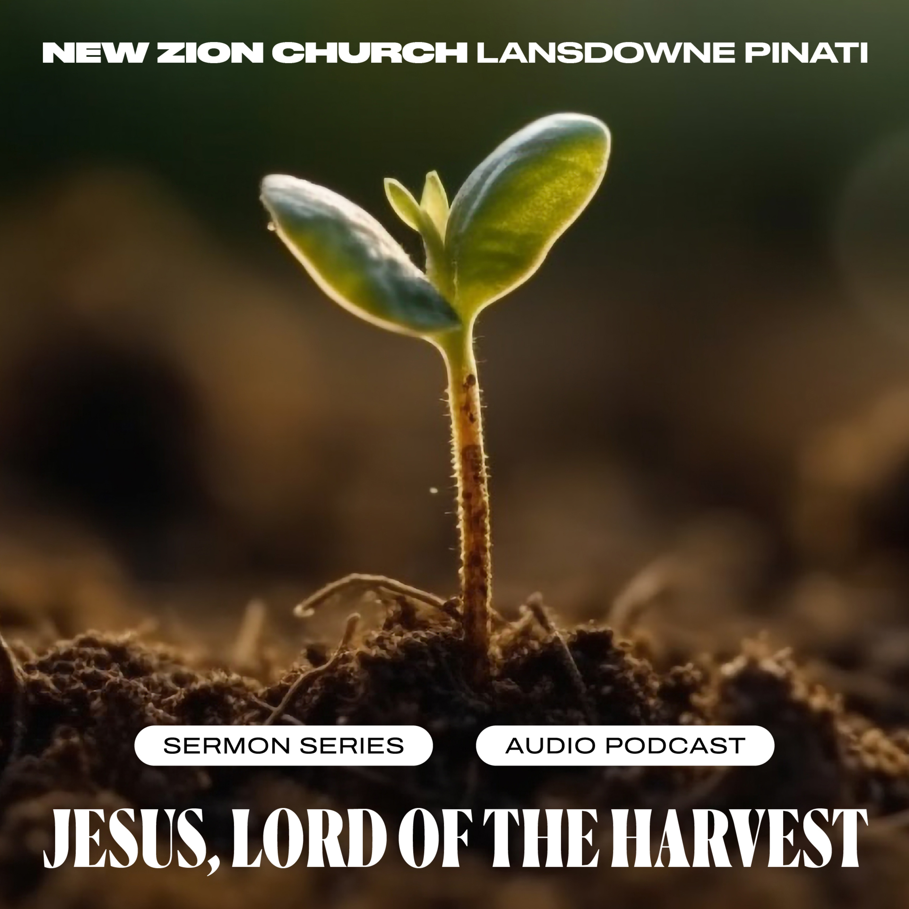 "Jesus Lord Of The Harvest" E01 by Apostle Russell Toohey episode artwork