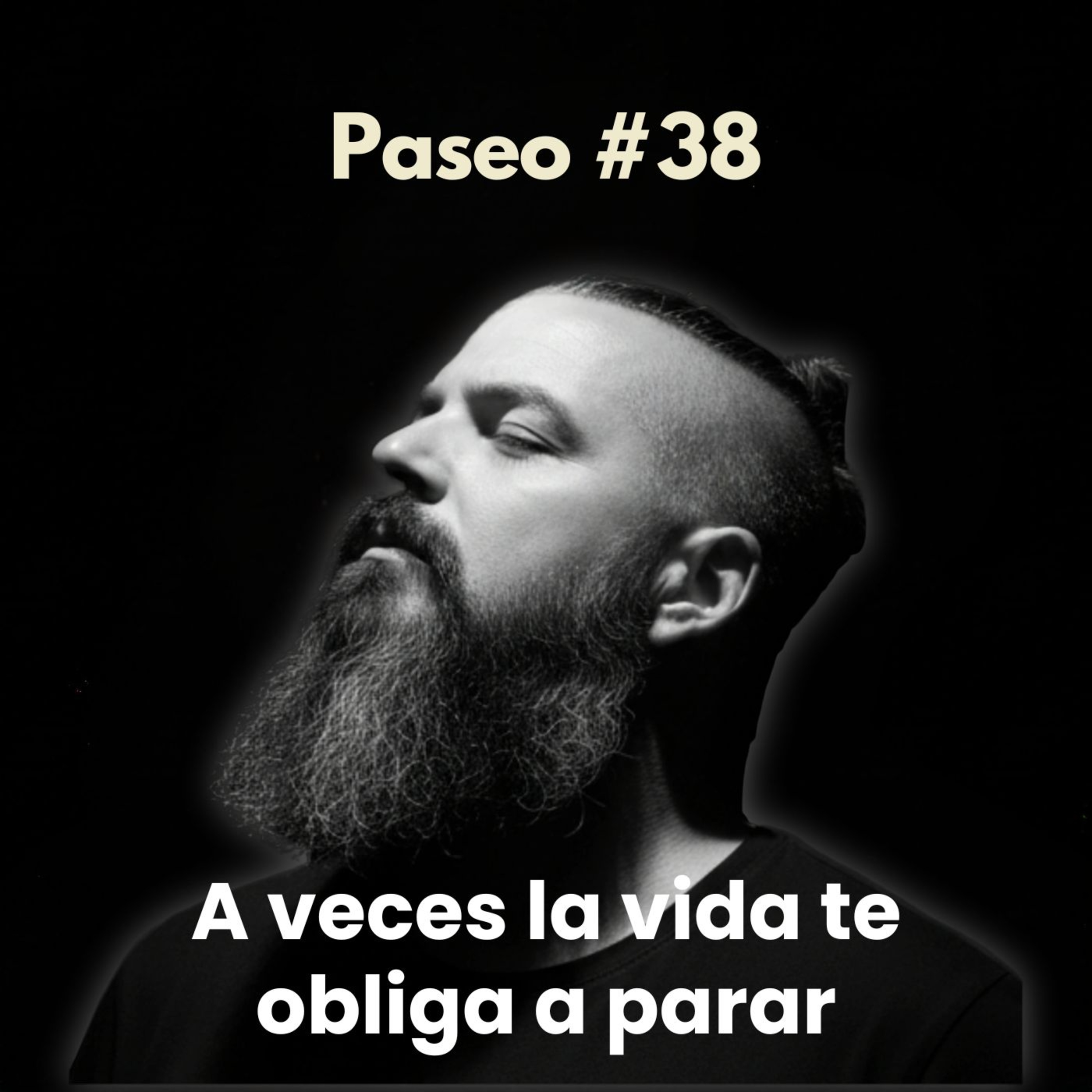 Paseo #38 Parar también es parte del camino episode artwork