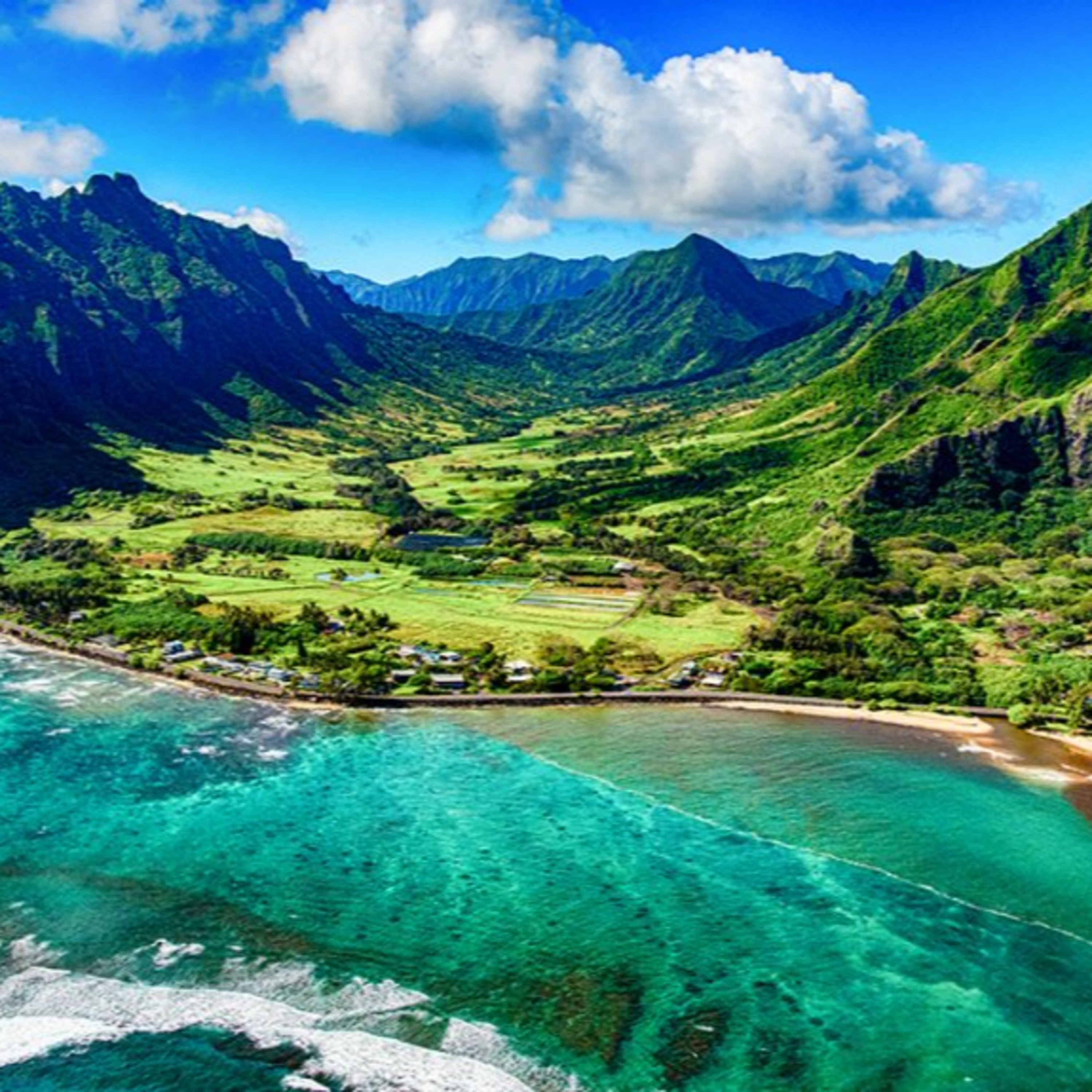 cover of episode What's it like to live and retire in Hawaii?