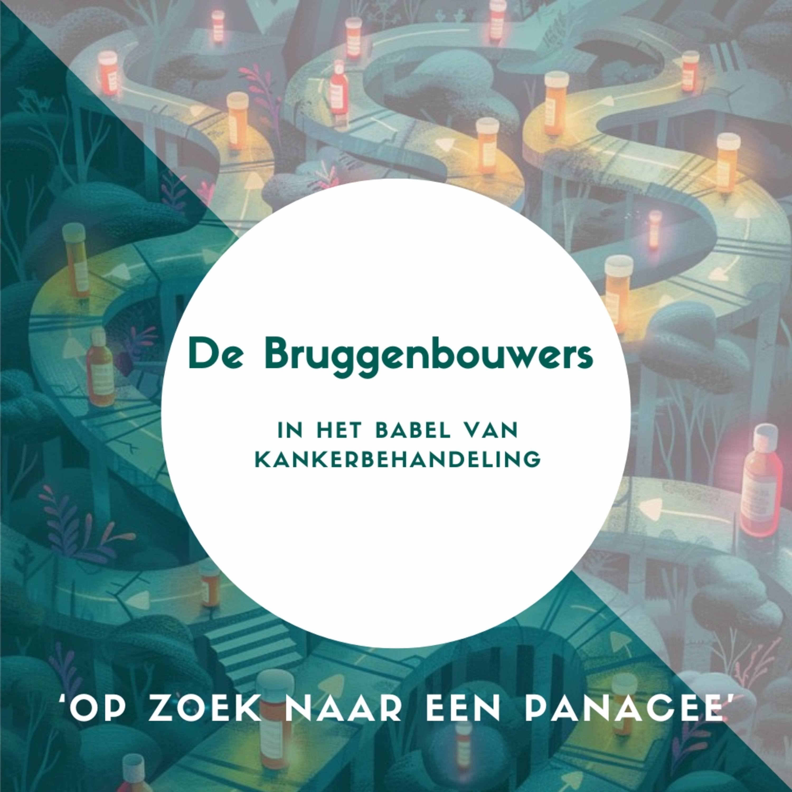 De Bruggenbouwers