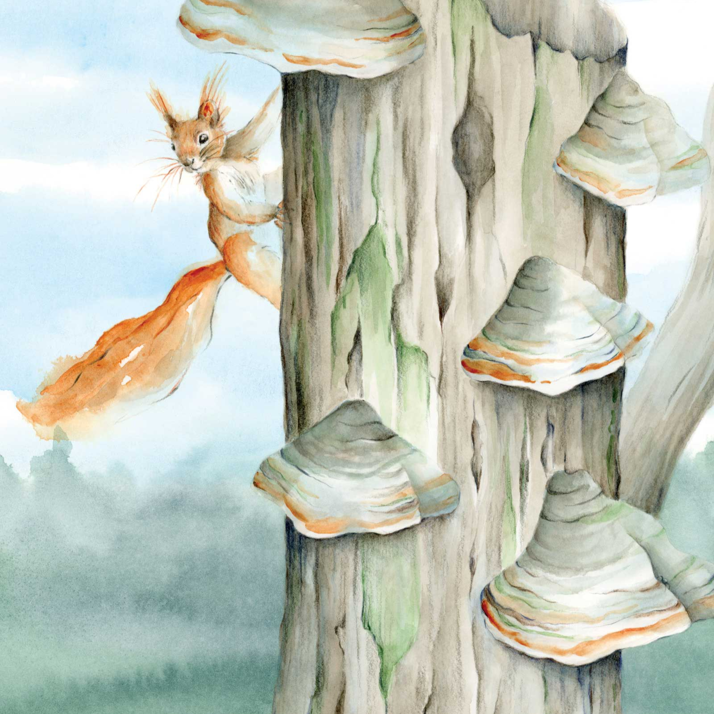 8. Tonderzwam episode artwork