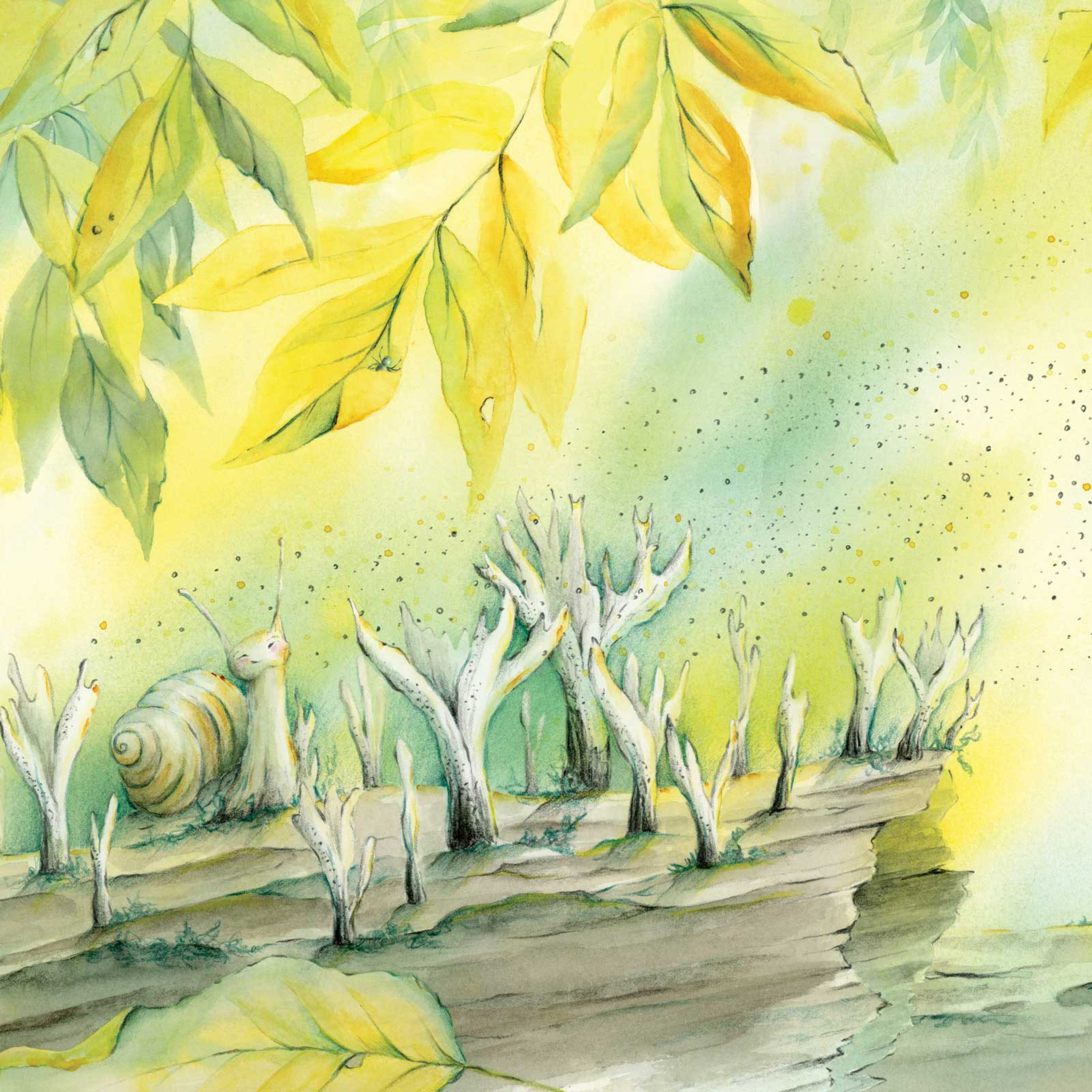7. Geweizwam episode artwork