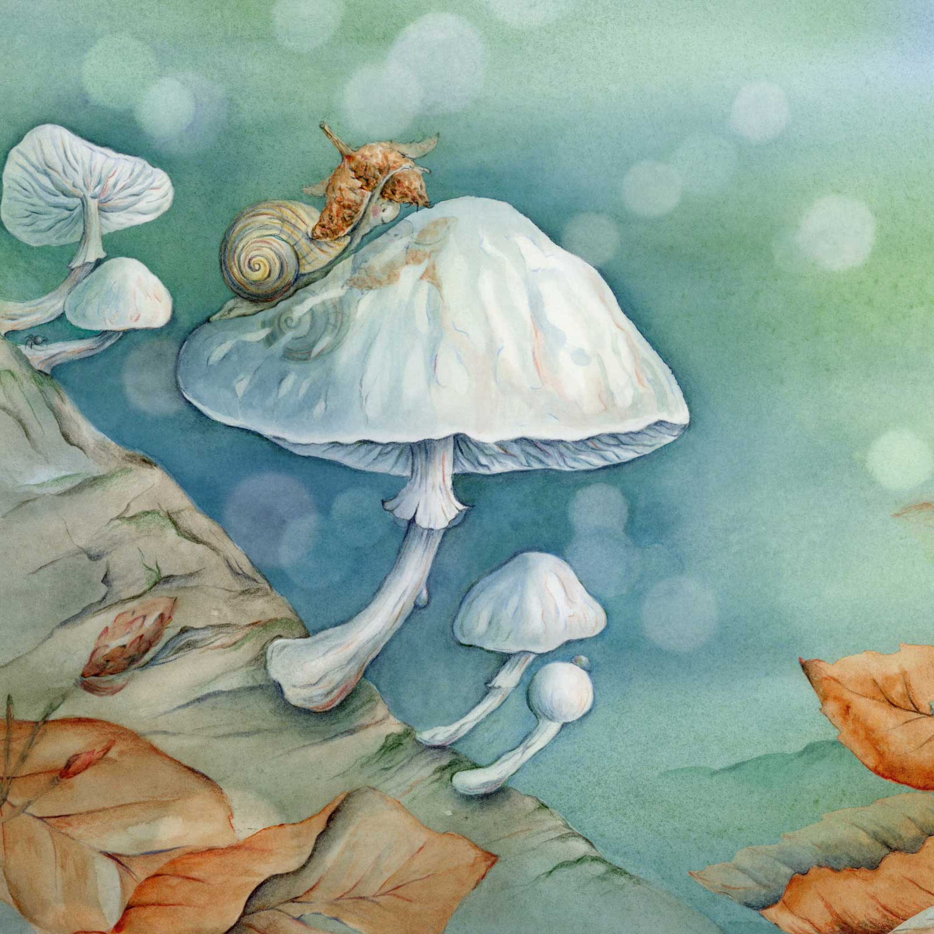 6. Porseleinzwam episode artwork