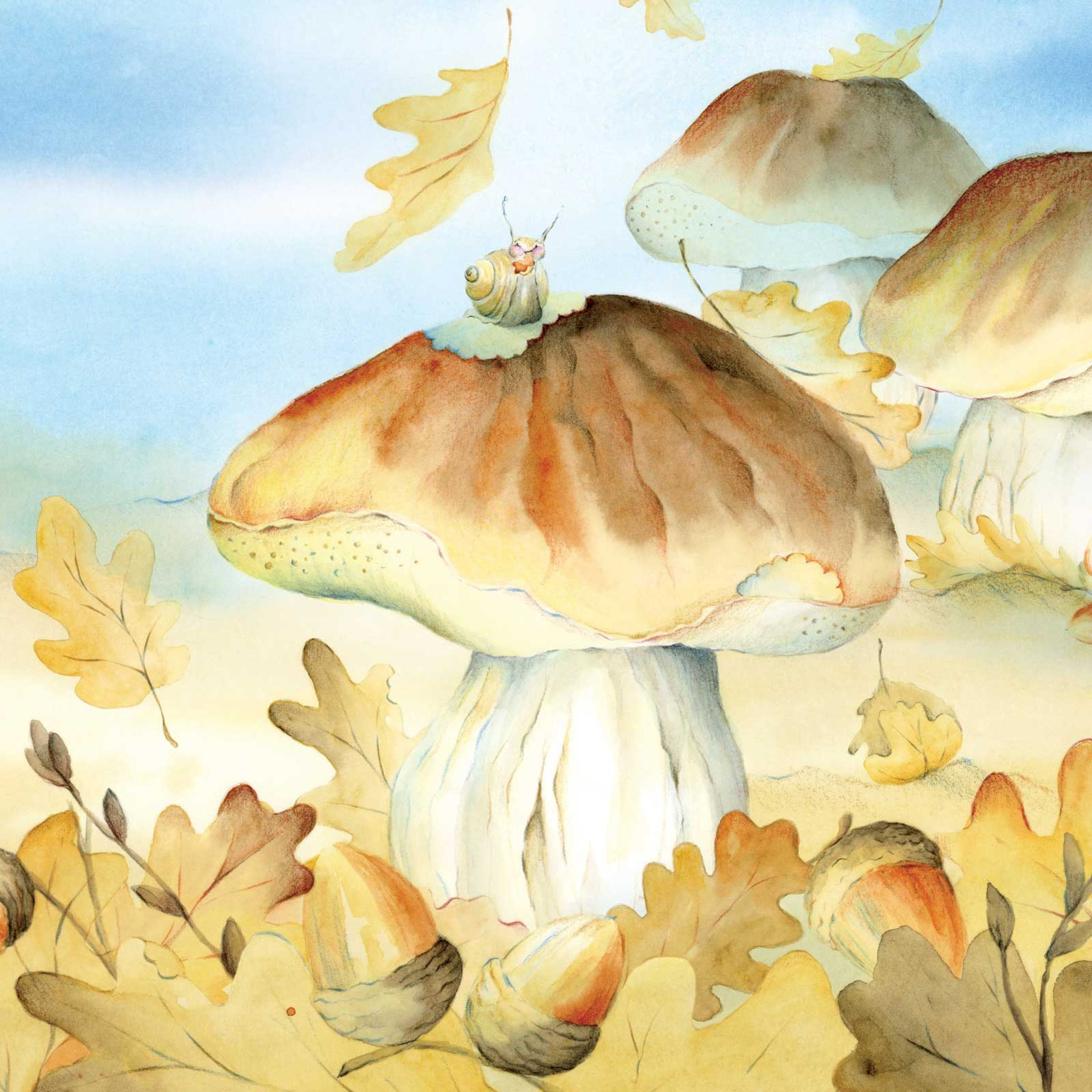 5. Eekhoorntjesbrood episode artwork