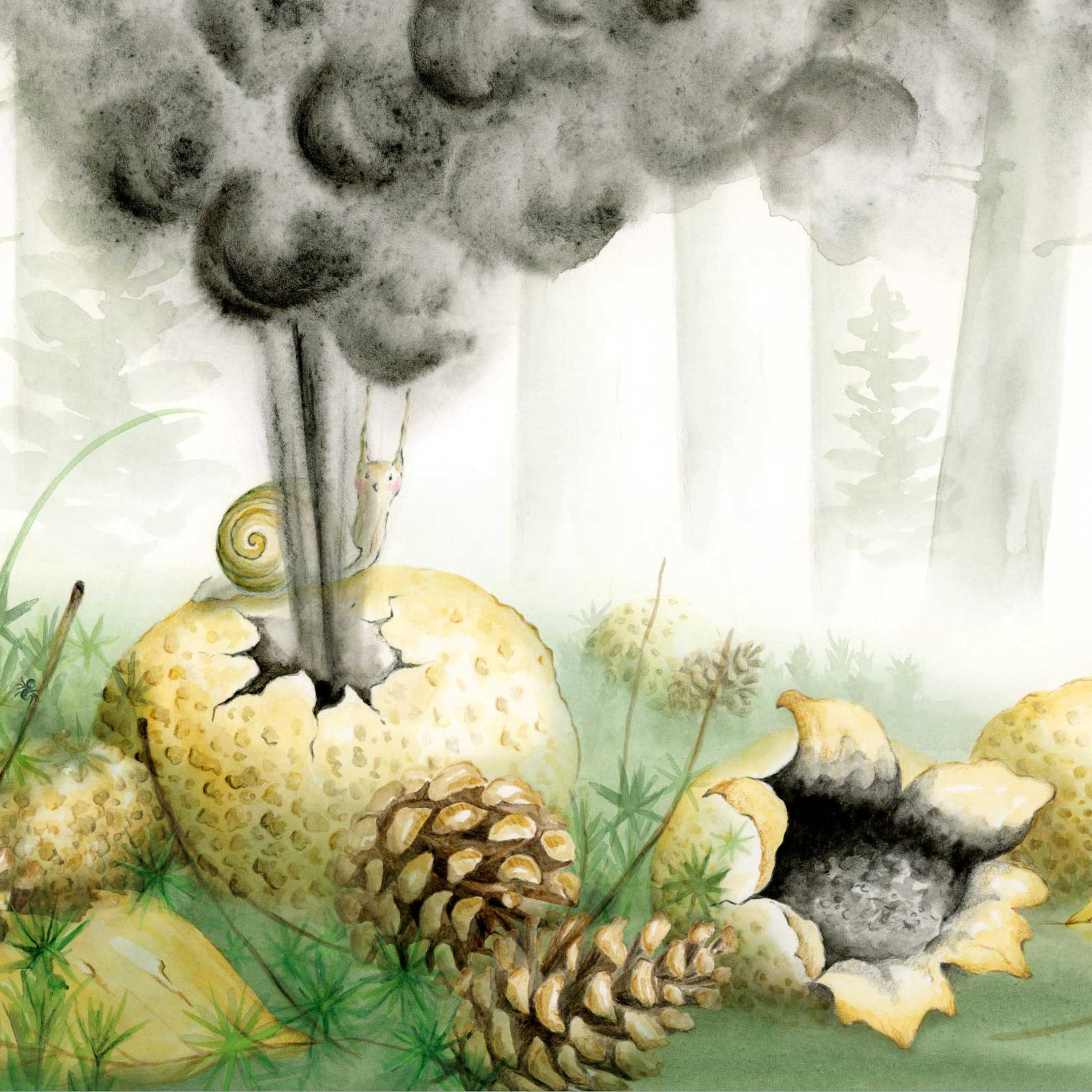4. Aardappelbovist episode artwork