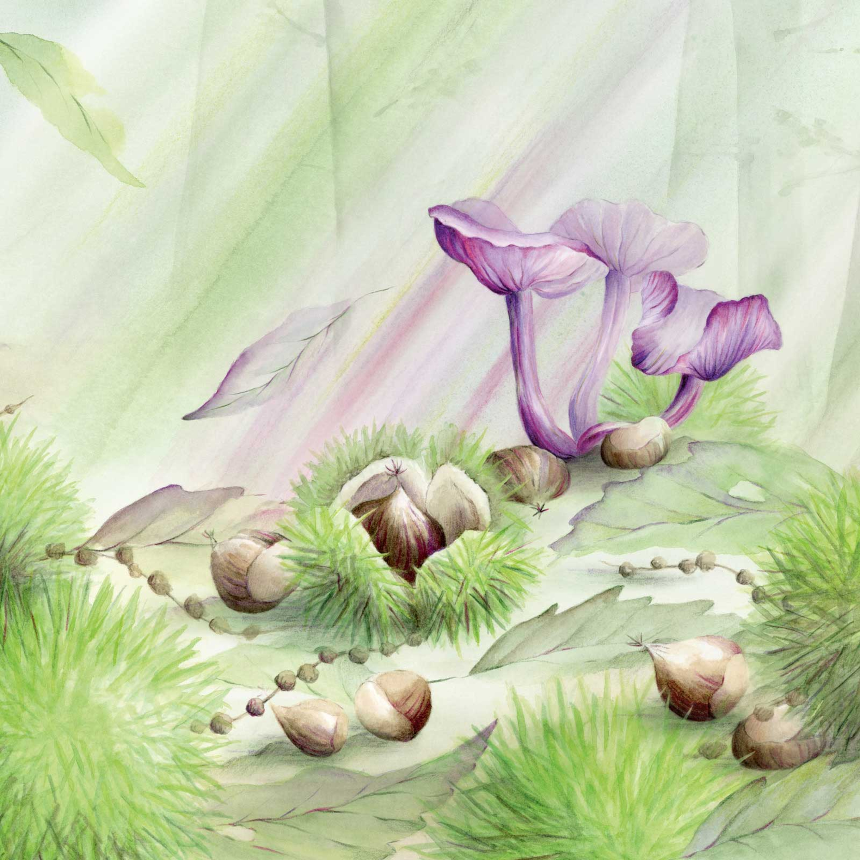 3. Amethistzwam episode artwork