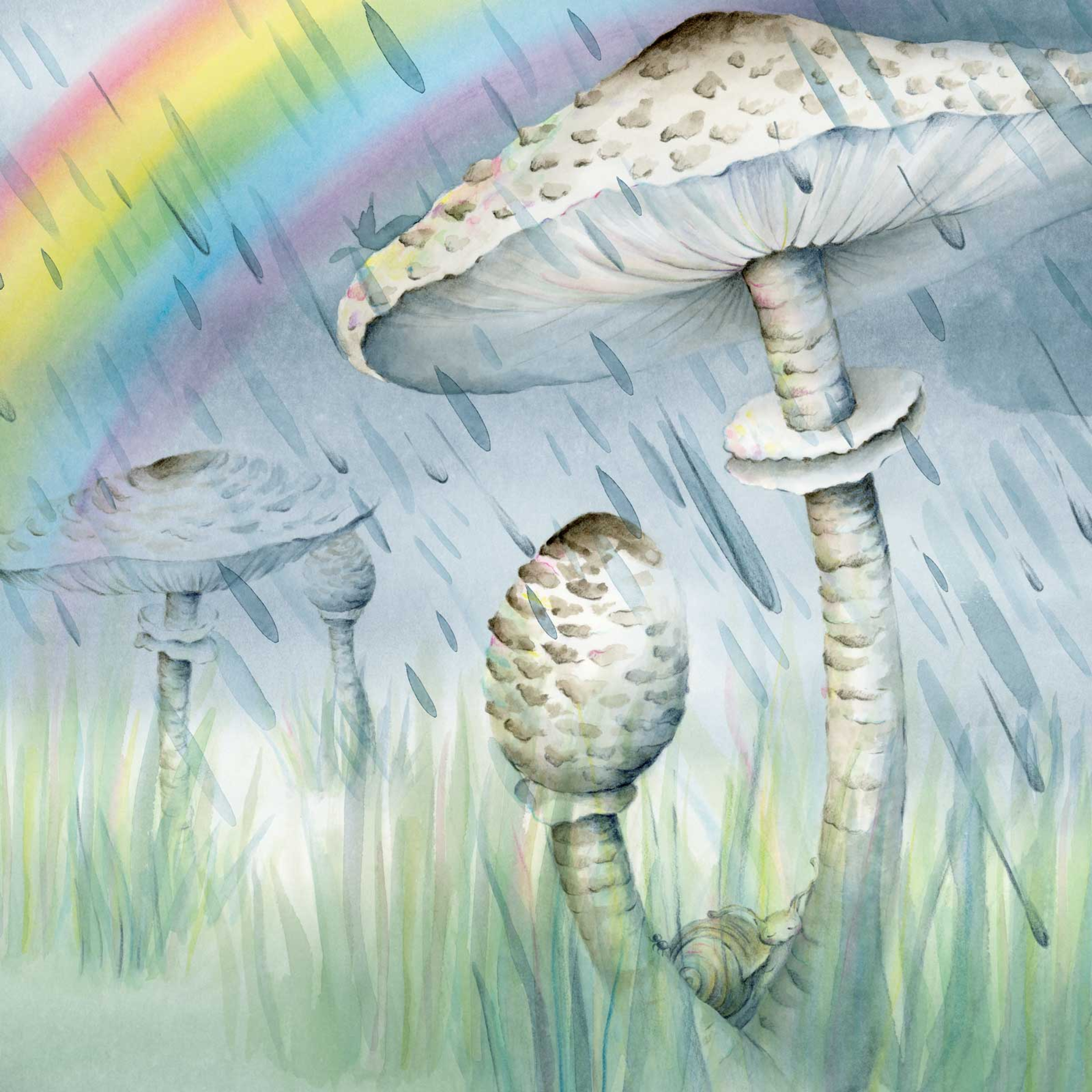 10. Parasolzwam episode artwork