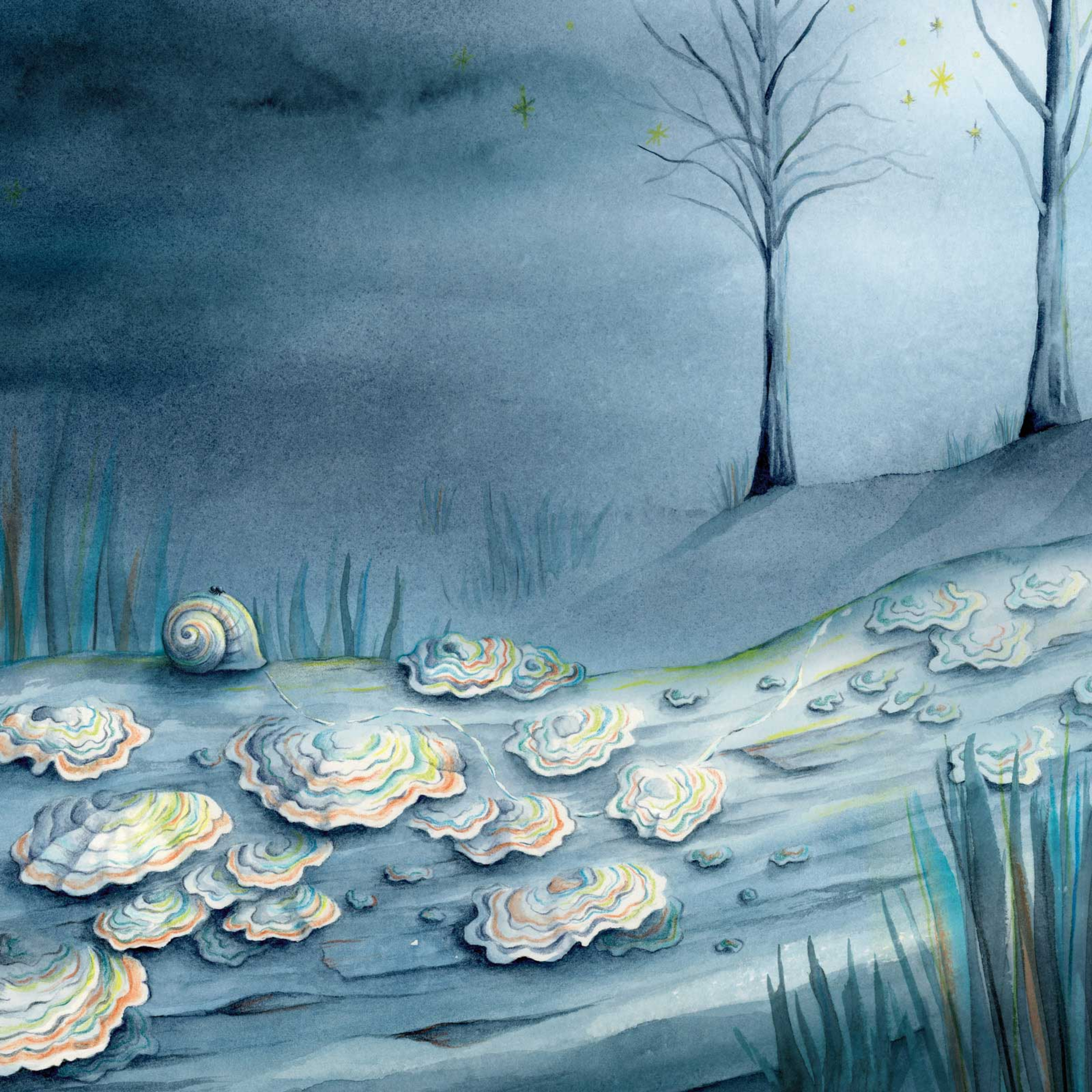 12. Elfenbankjes episode artwork