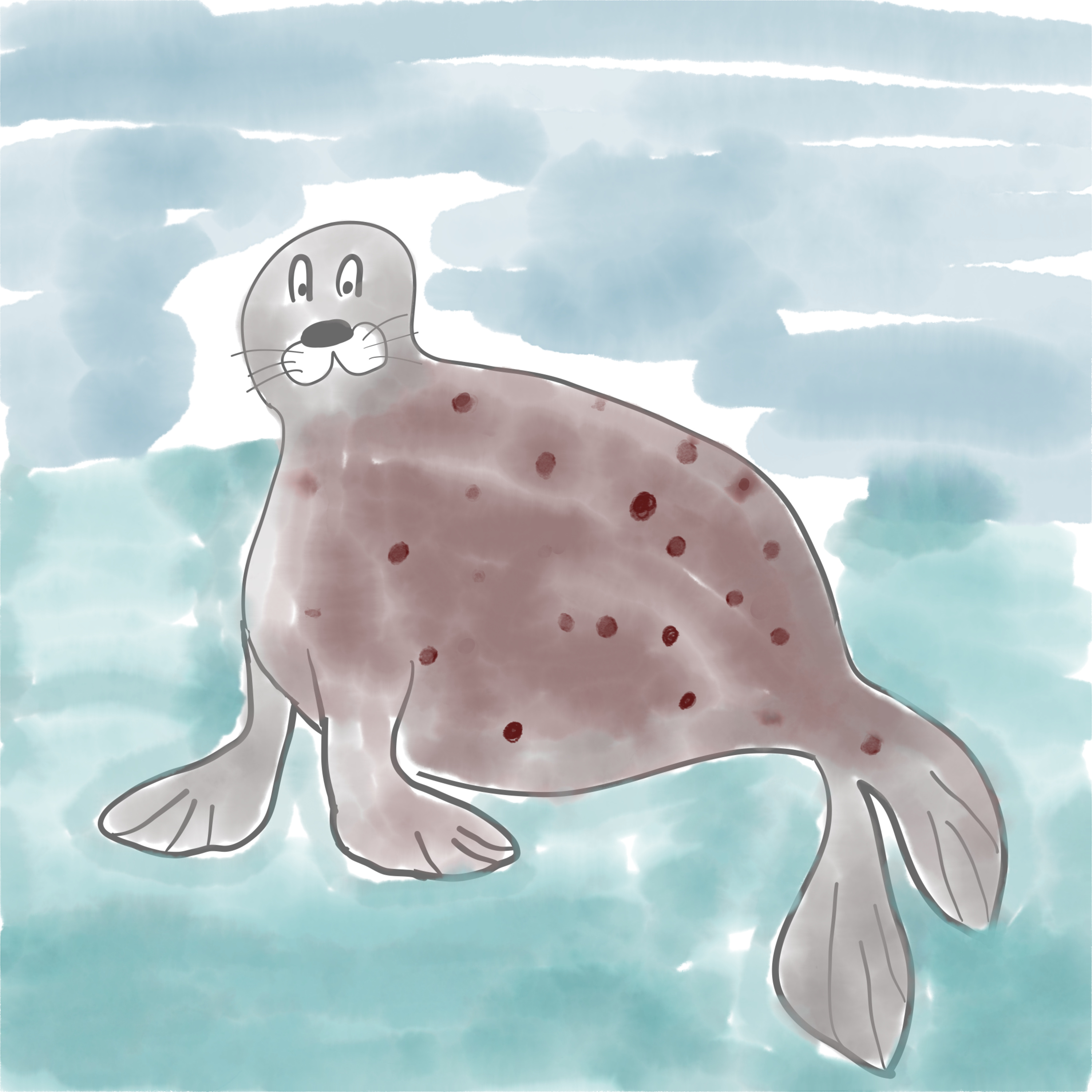 Le favole della buonanotte: la foca Pocus