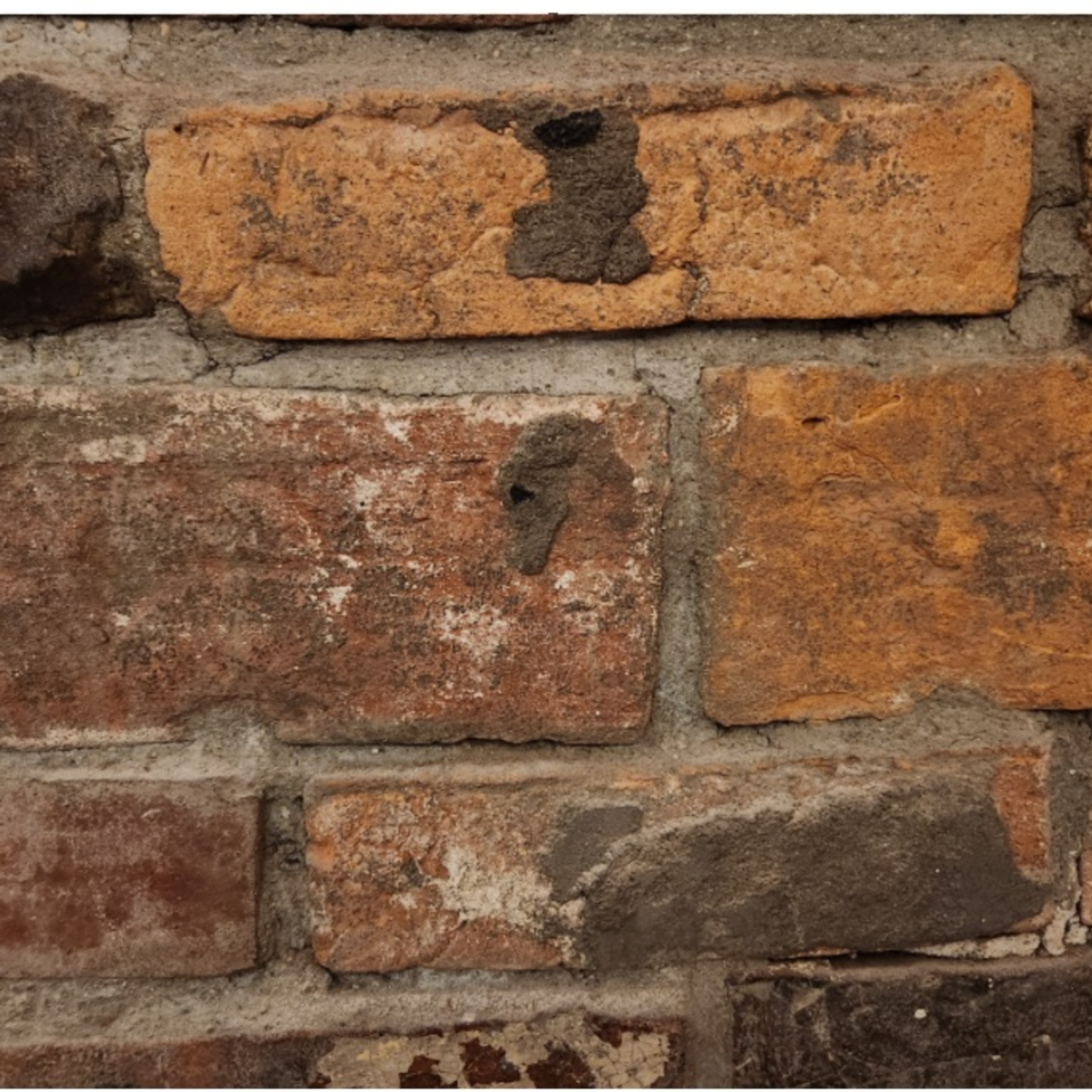 Education: a Clusterf_ck in Need of Repair