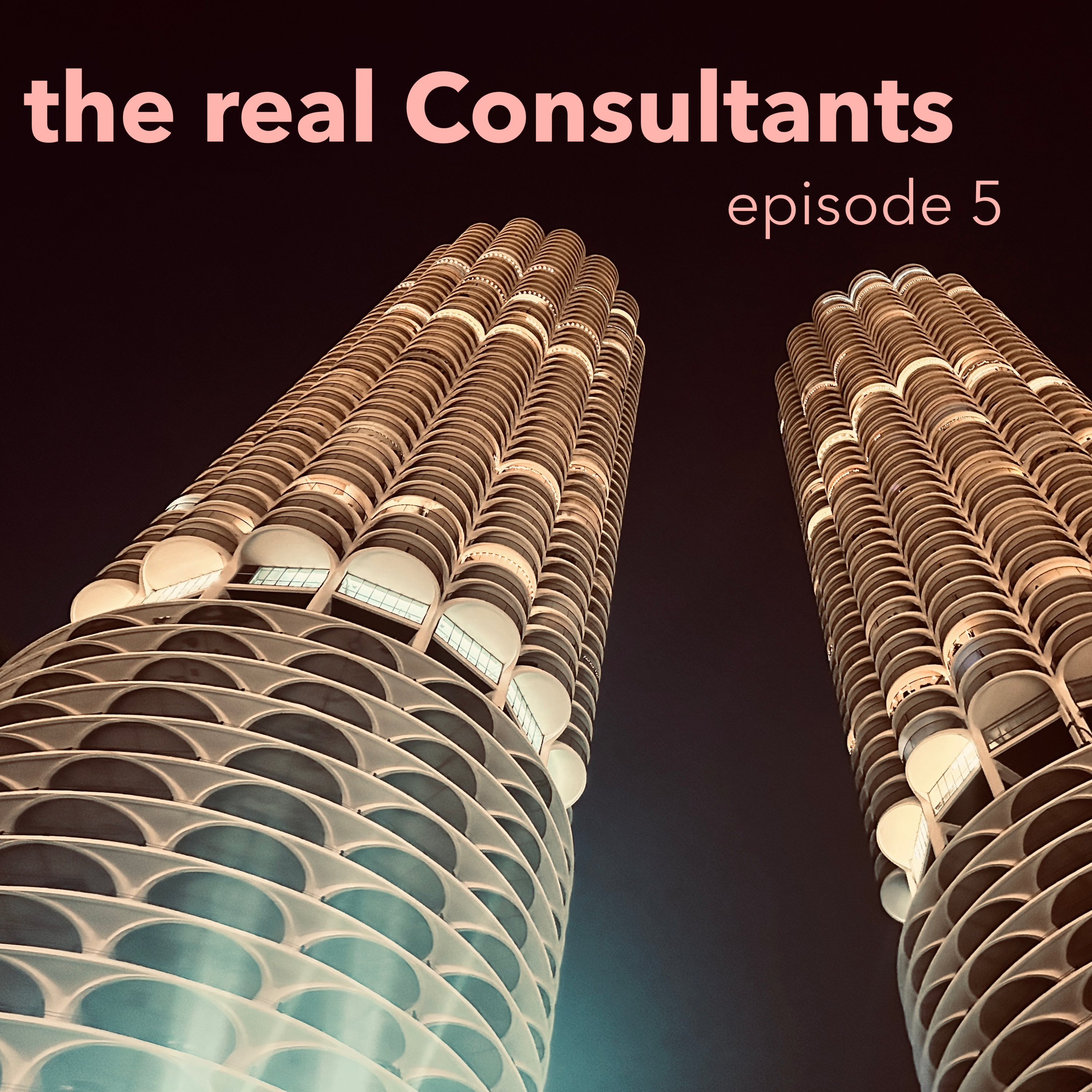 The Real Consultants