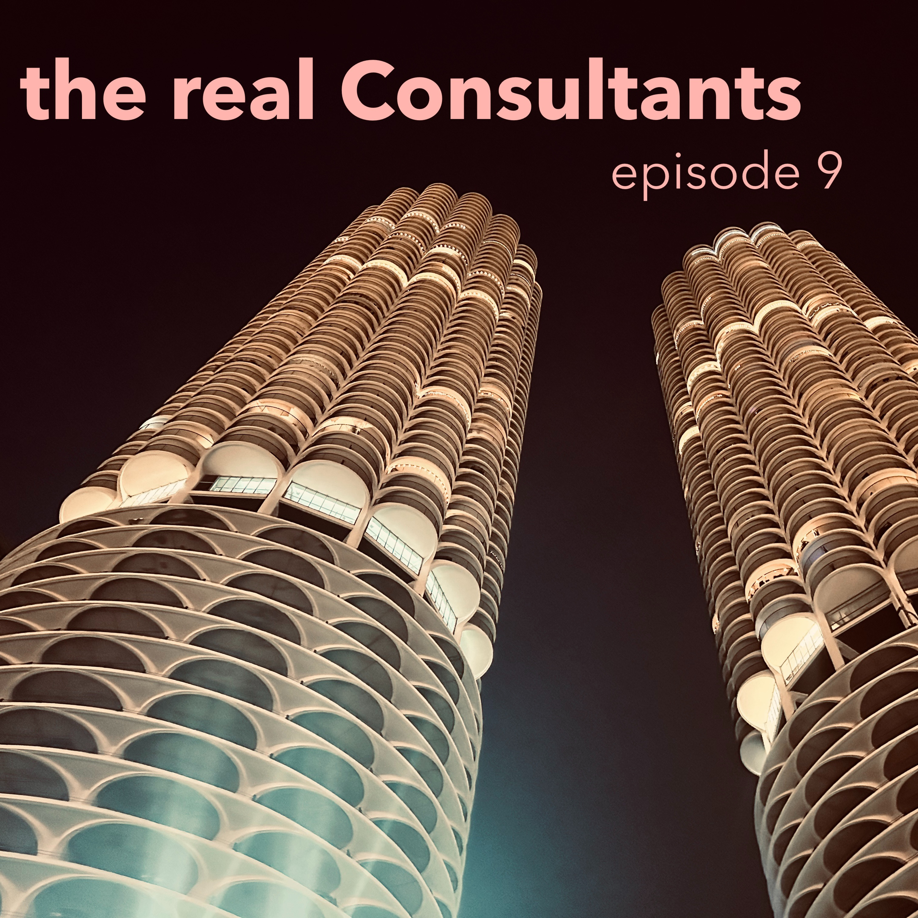 The Real Consultants