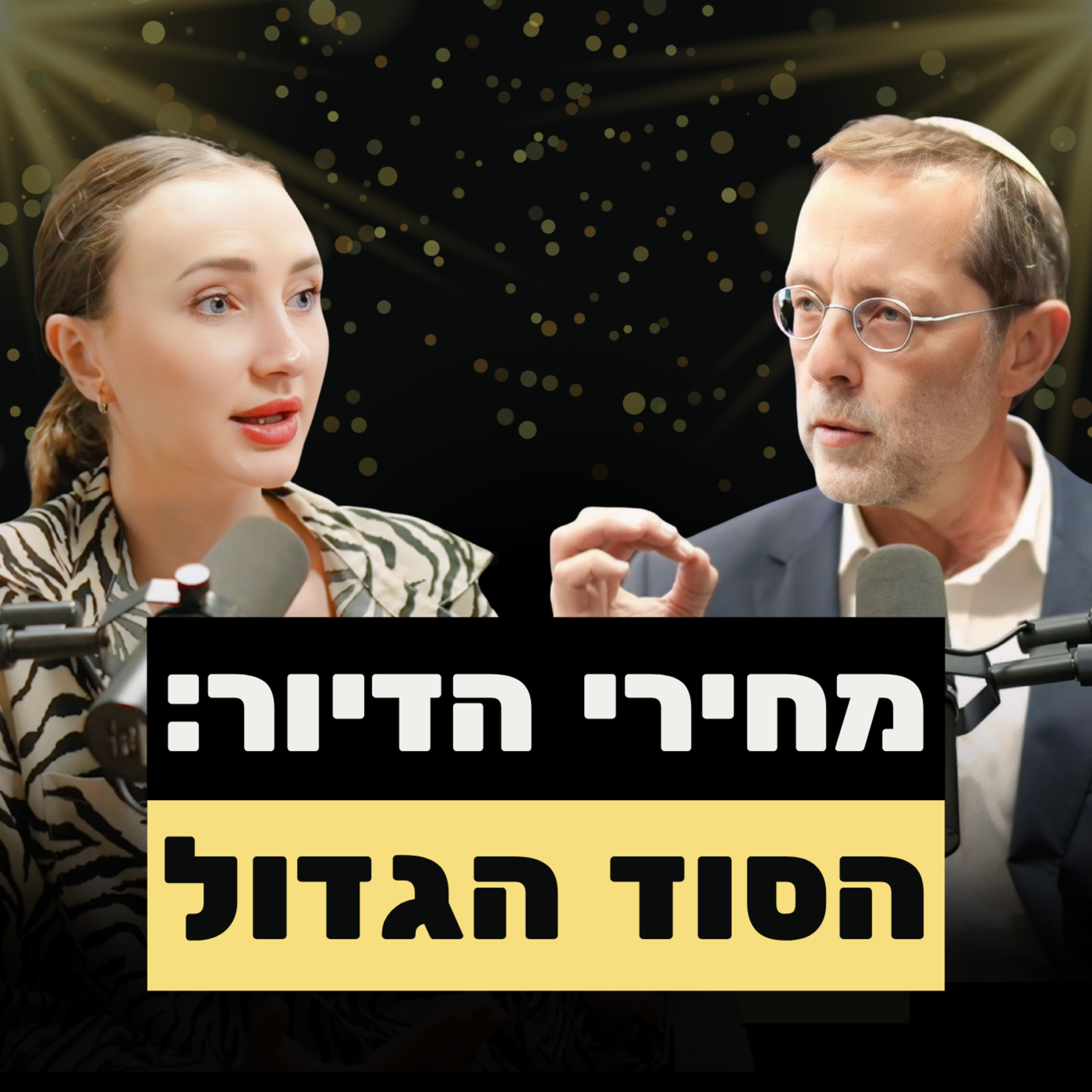 פייגלין: ׳רבע מהכנסות המדינה הן מצעירים חסרי דירה. זה פשע מאורגן׳ episode artwork