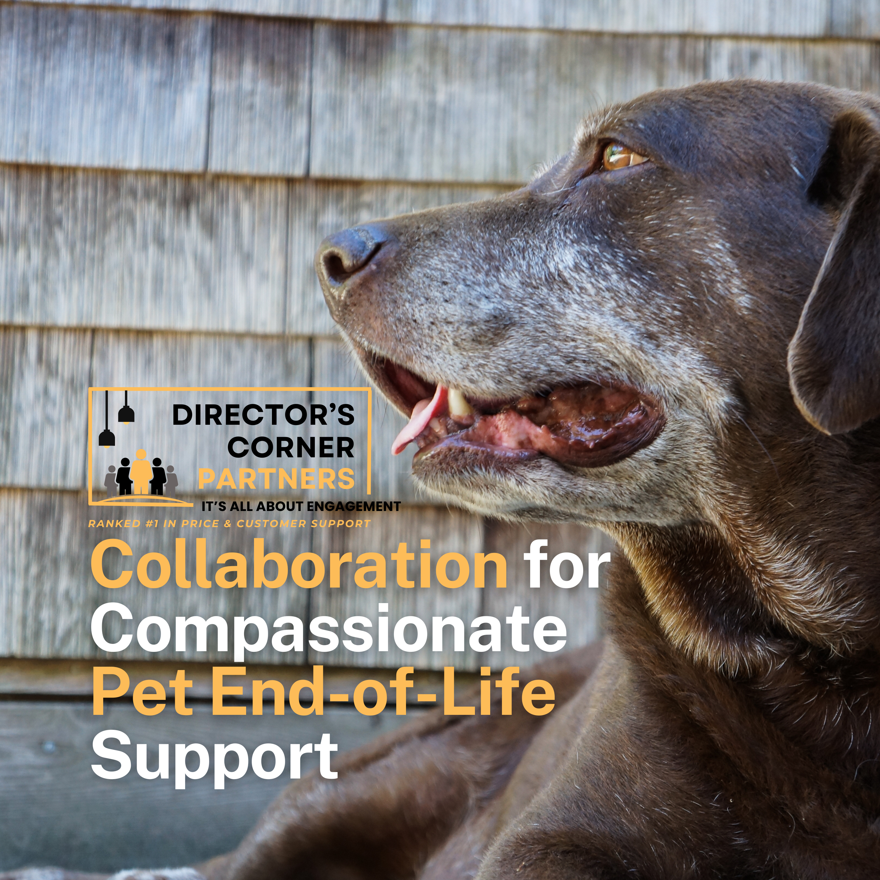 Collaboration for Compassionate Pet End-of-Life Support episode artwork