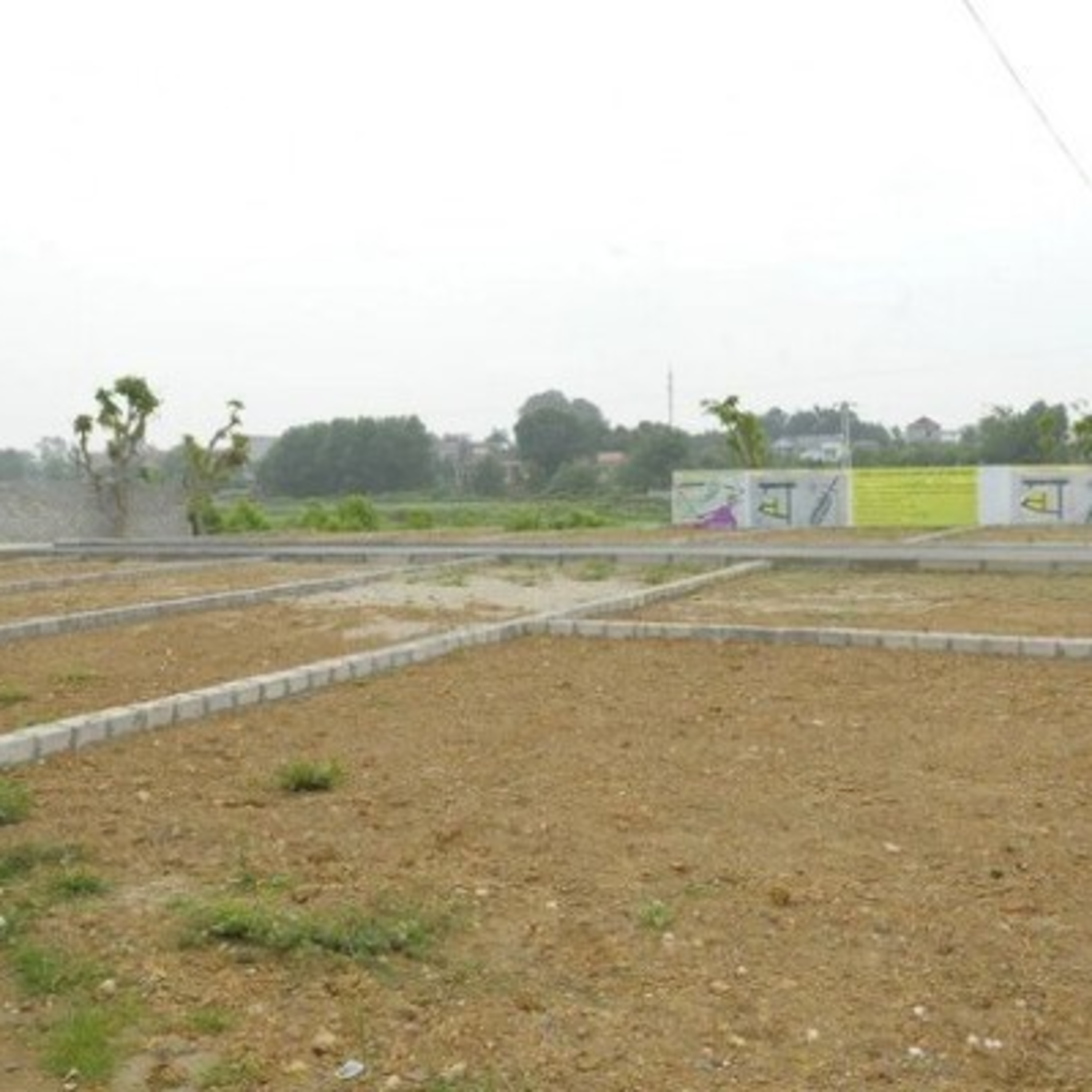 Thông tin kinh tế