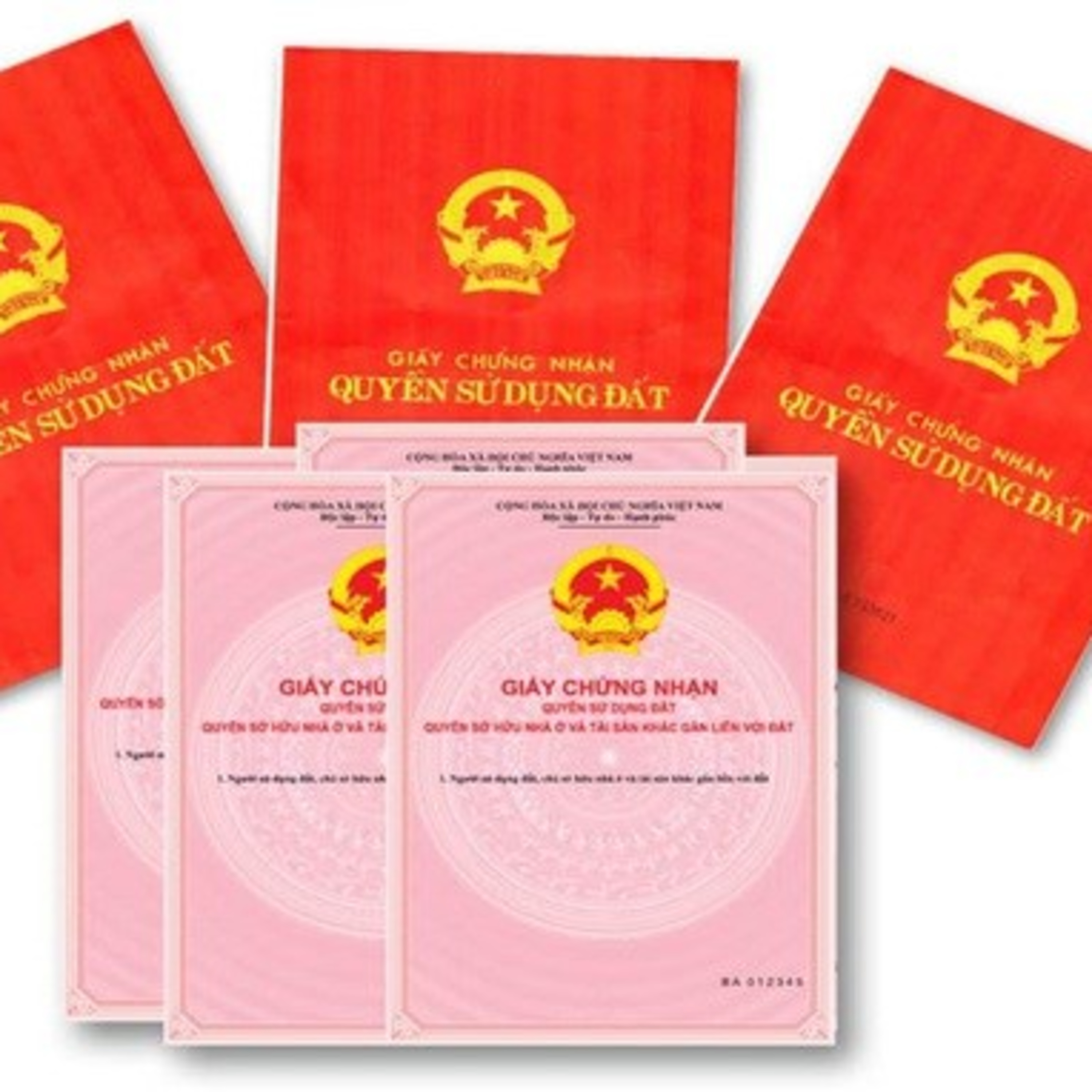 Thông tin kinh tế