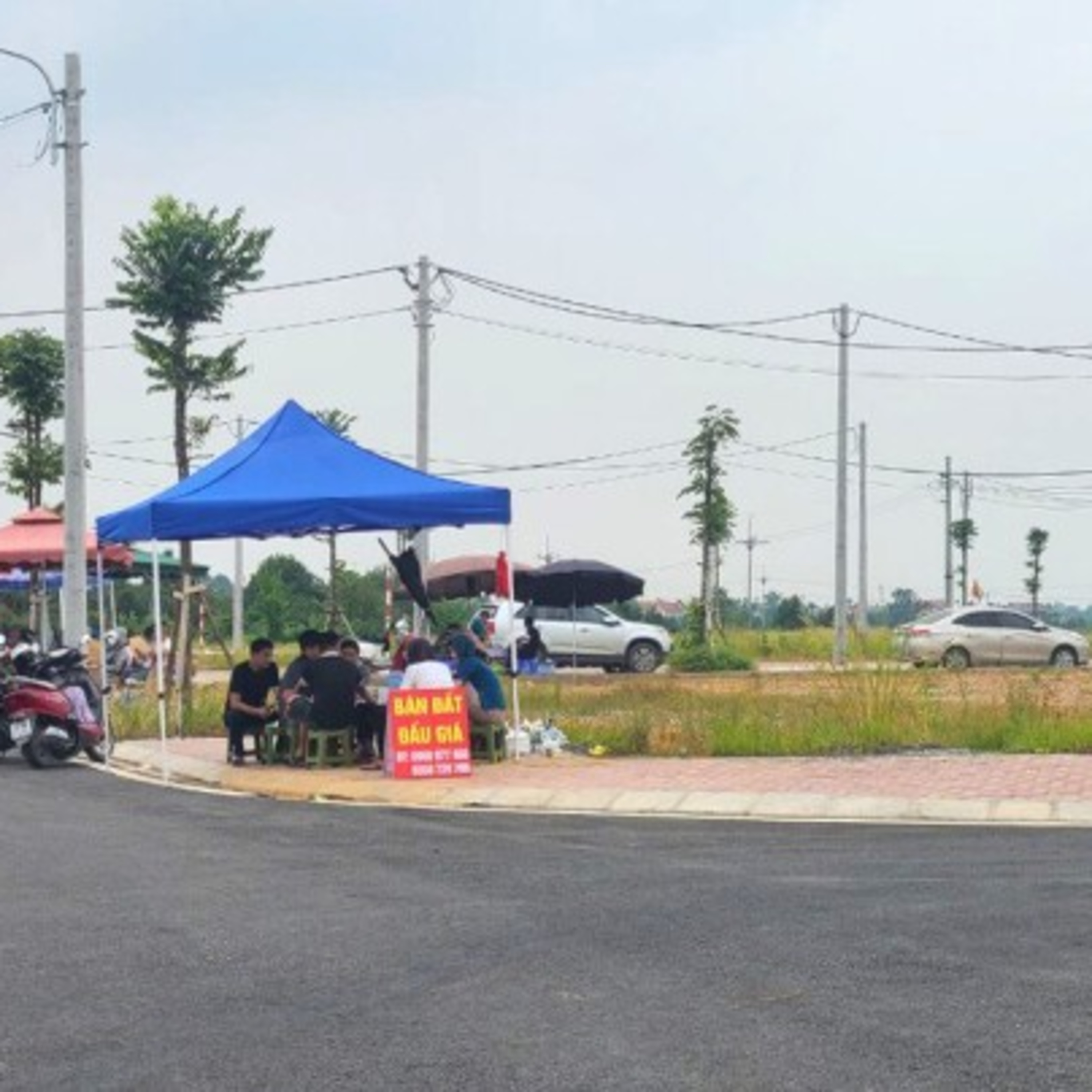 Thông tin kinh tế