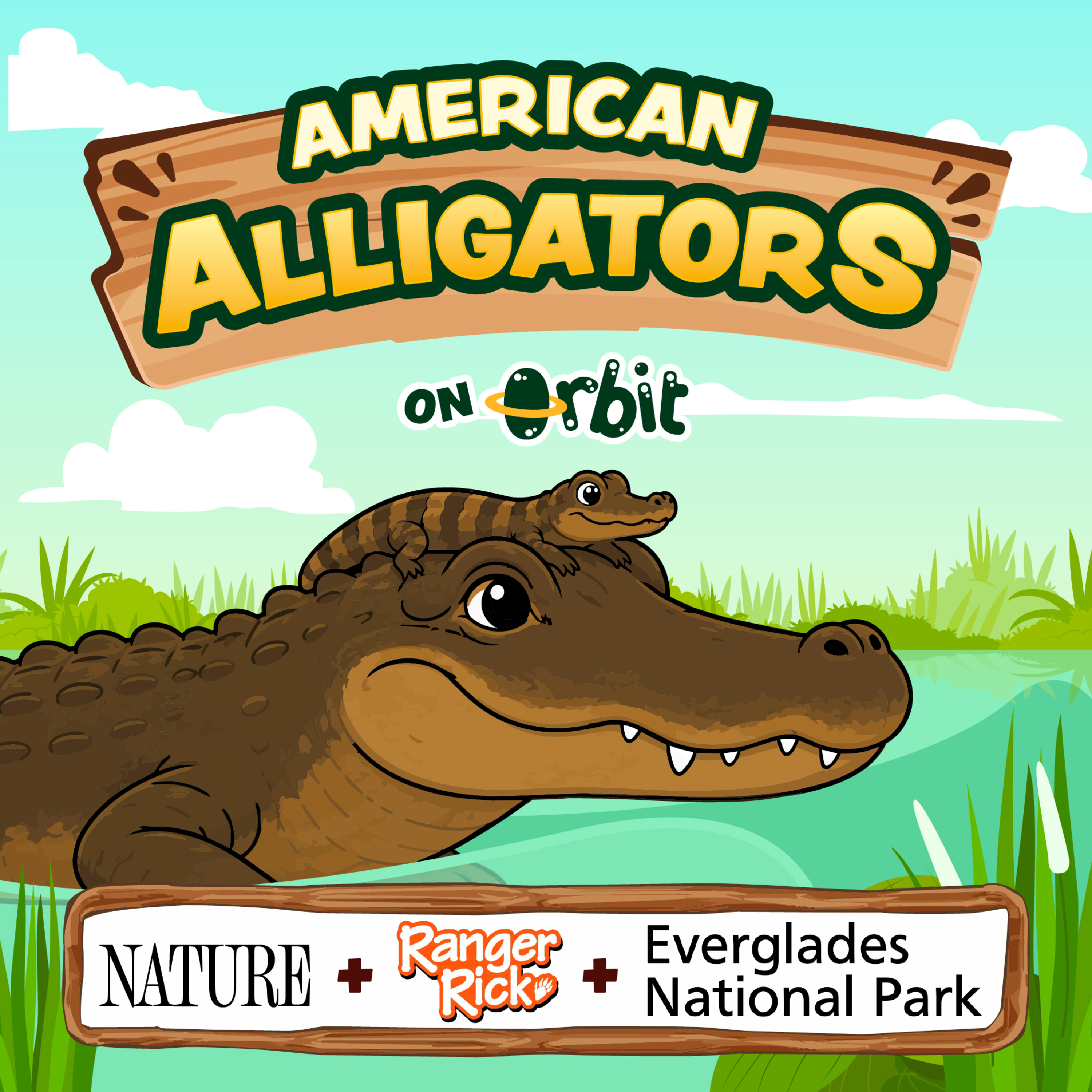 Why are alligator moms so awesome? episode artwork