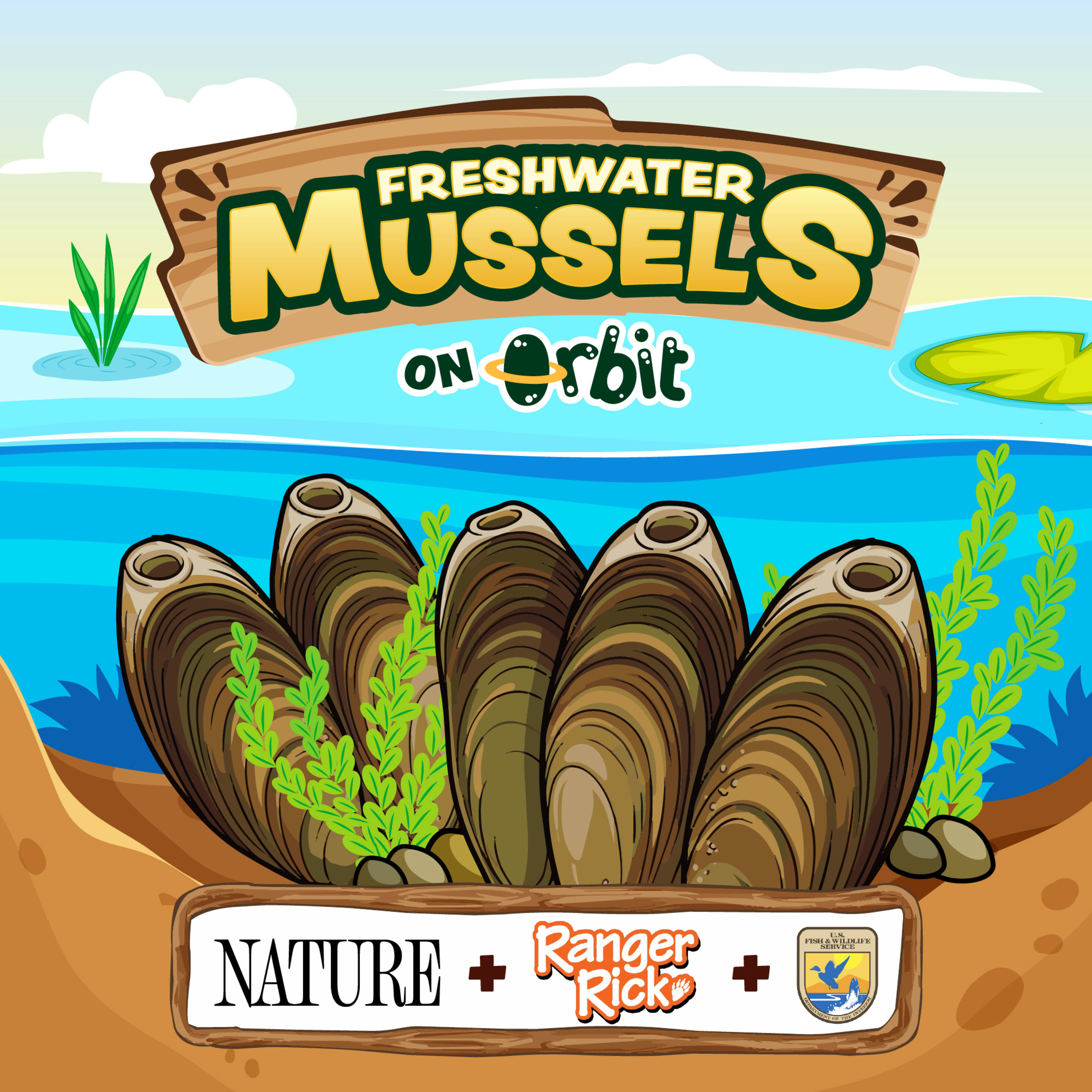 How do tiny mussels clean our rivers? episode artwork