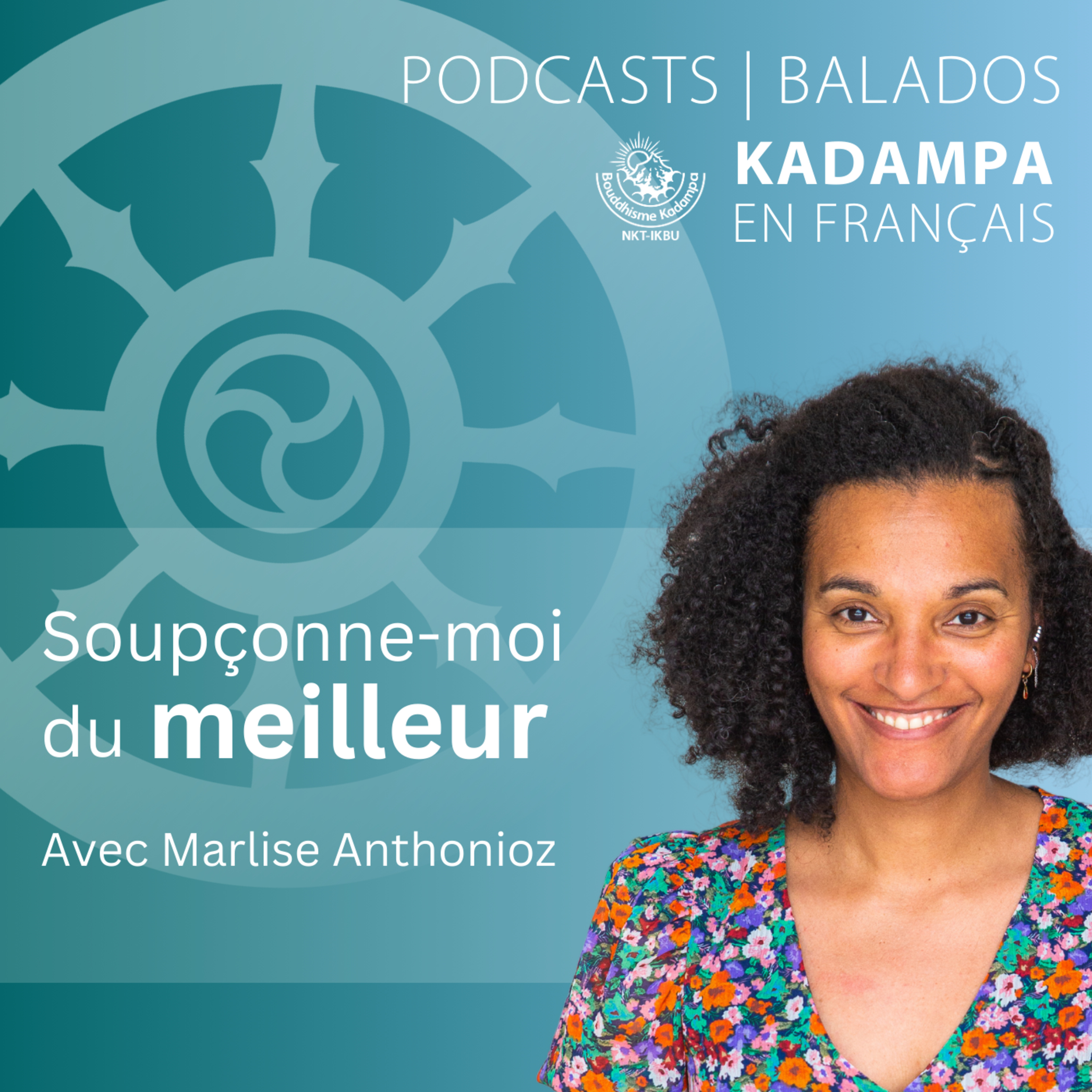 Soupçonne-moi du meilleur episode artwork