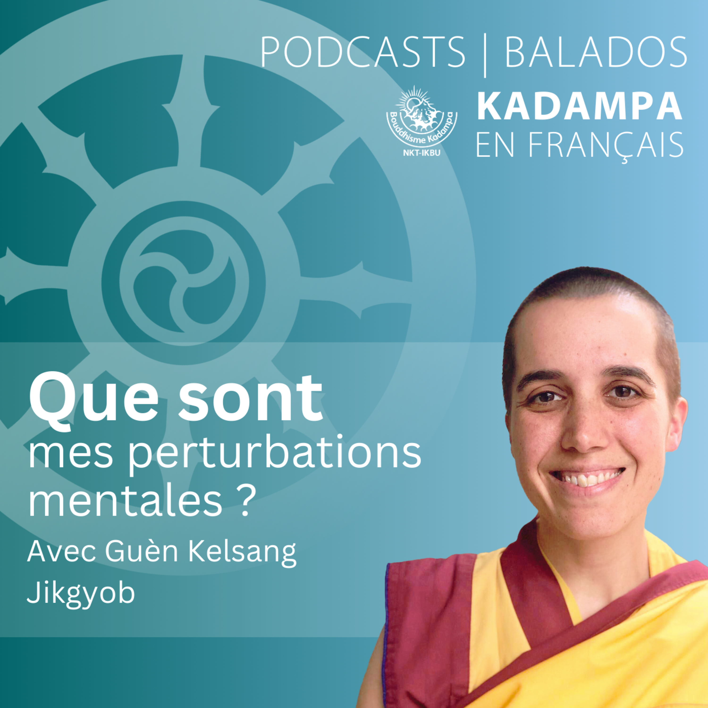 Que sont mes perturbations mentales ? episode artwork