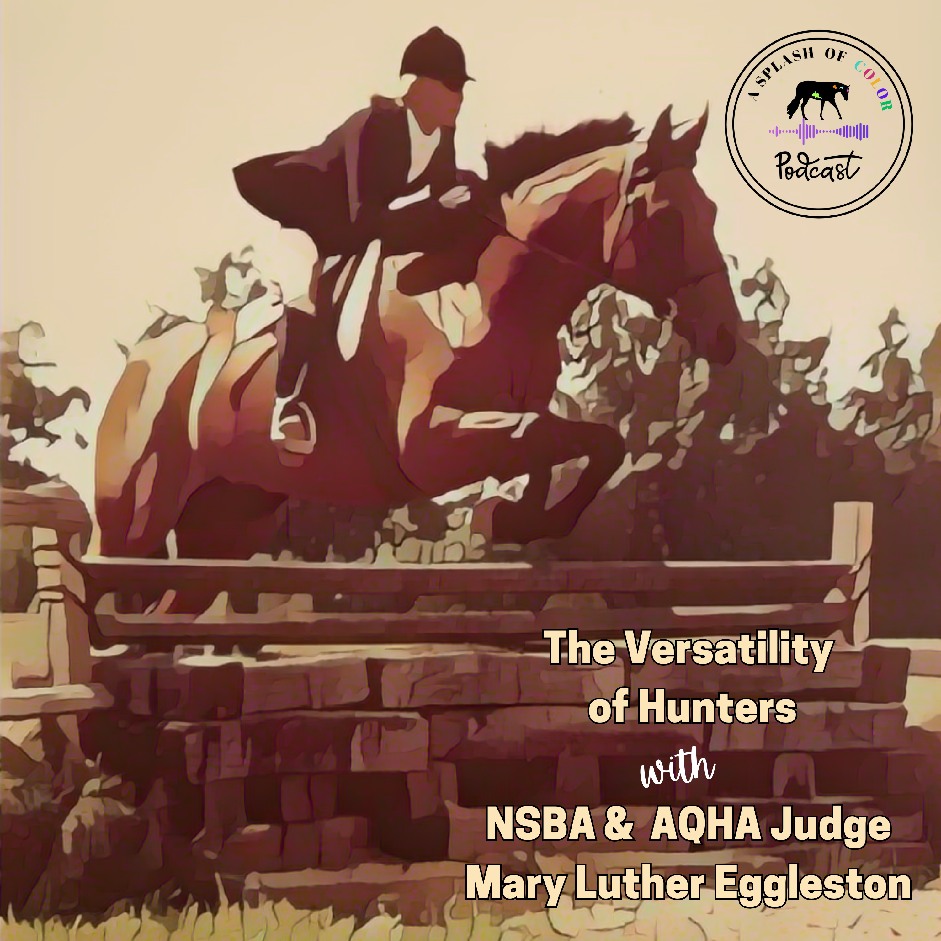 A Splash of Color: An Equine Podcast