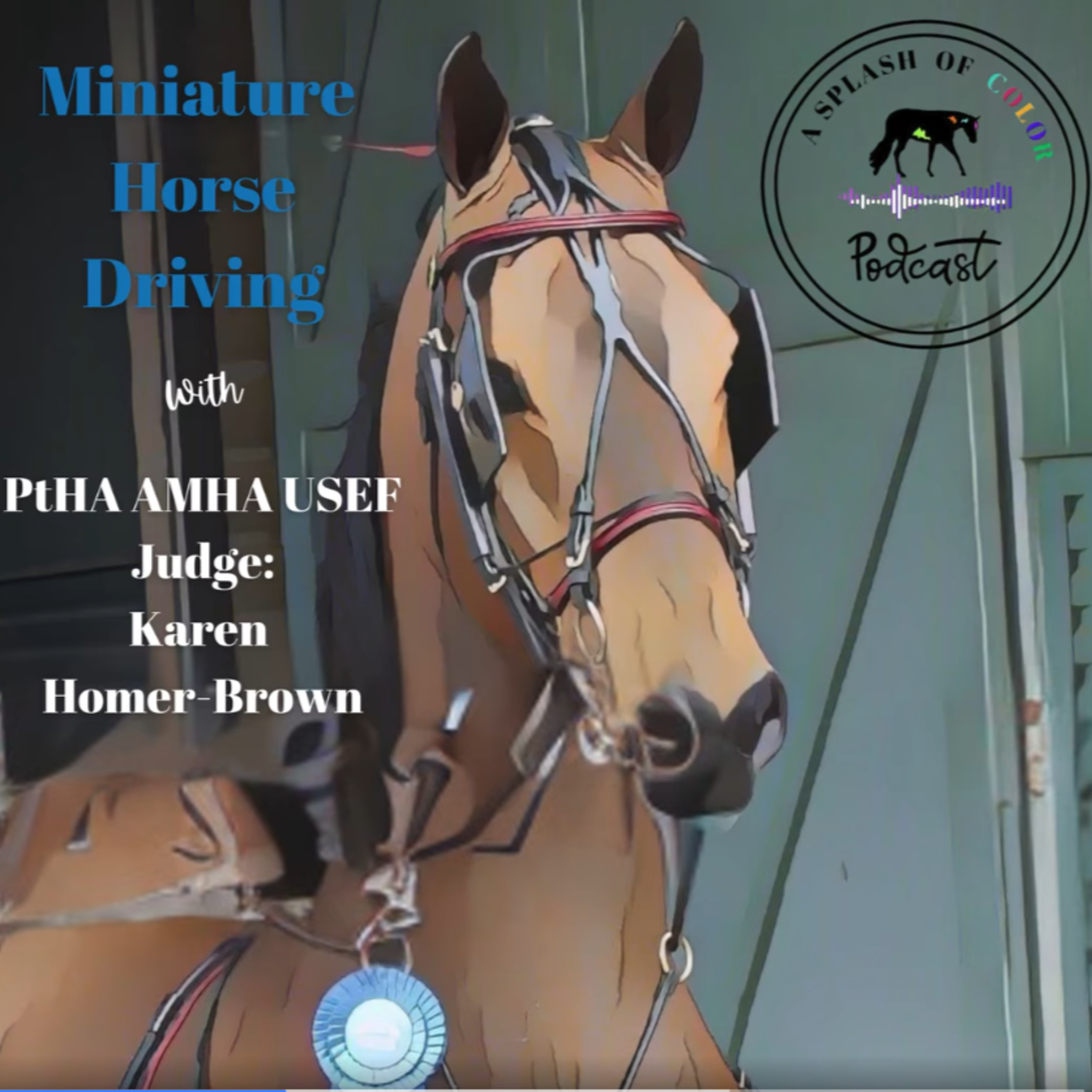 A Splash of Color: An Equine Podcast