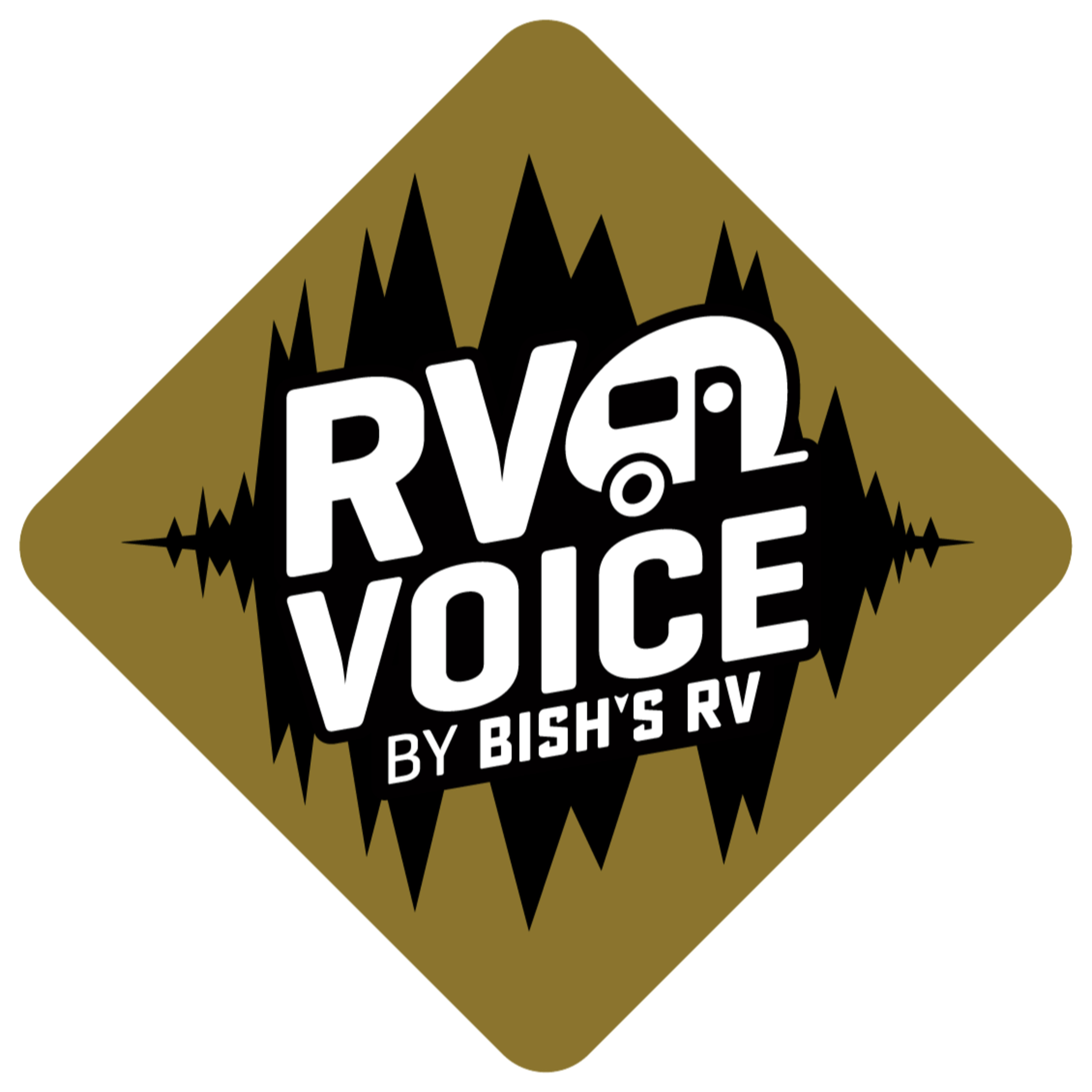 Inside Campinerin’s RV Lifestyle: Top Tips, Gear, and Travel Life Balance | The RV Voice Podcast episode artwork