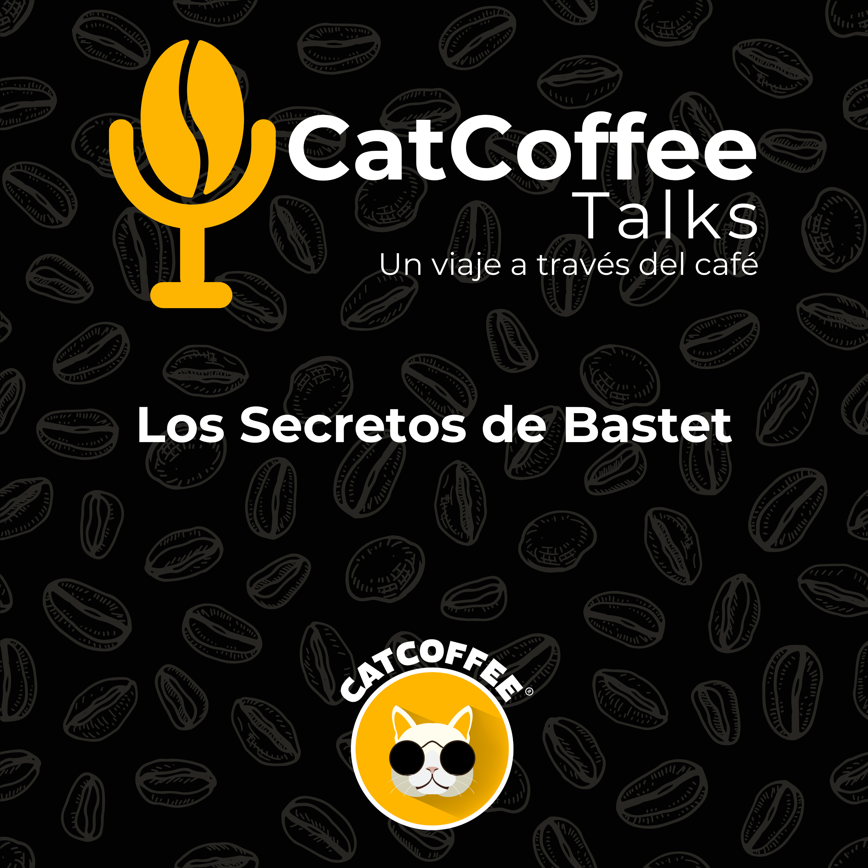 CatCoffee Talks