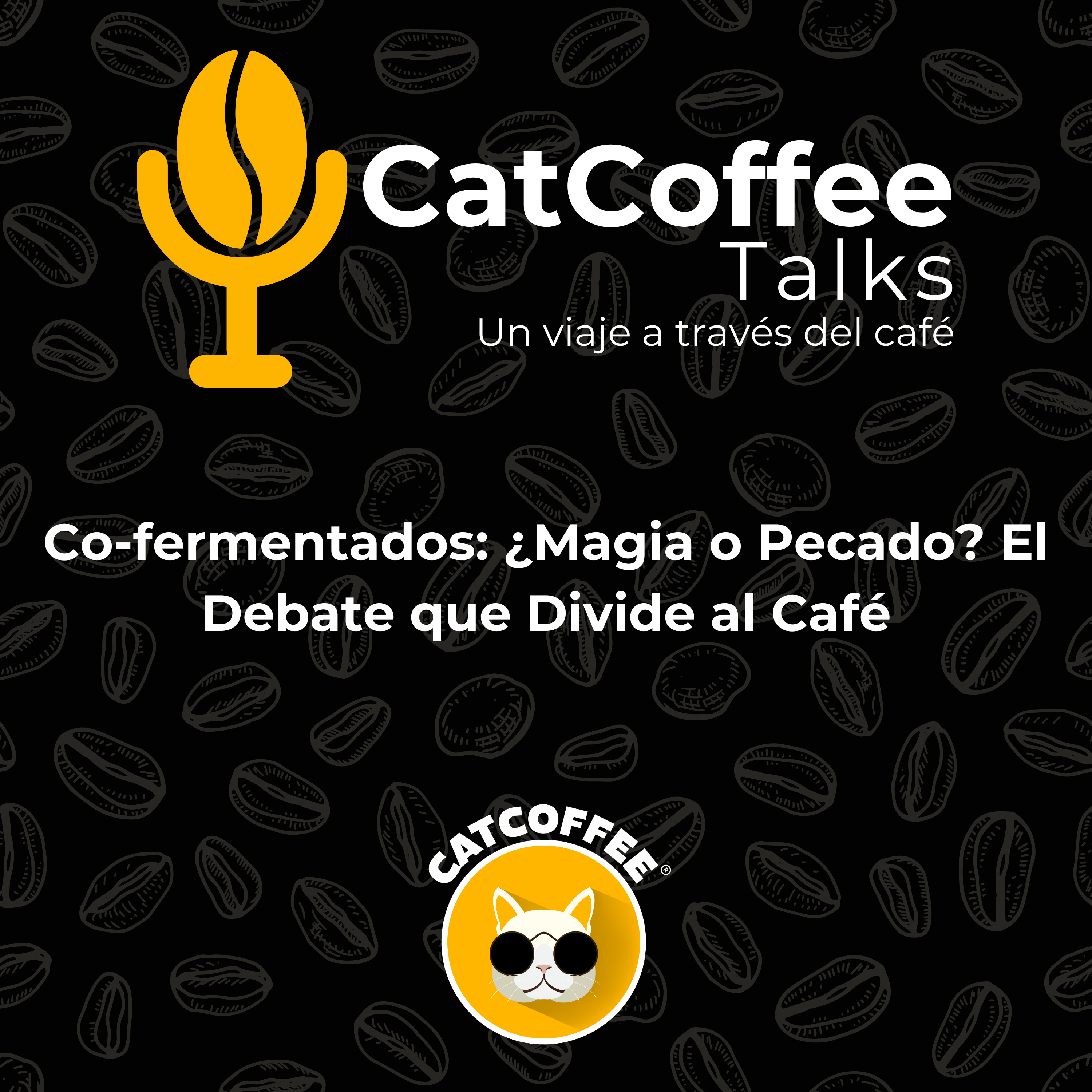 CatCoffee Talks