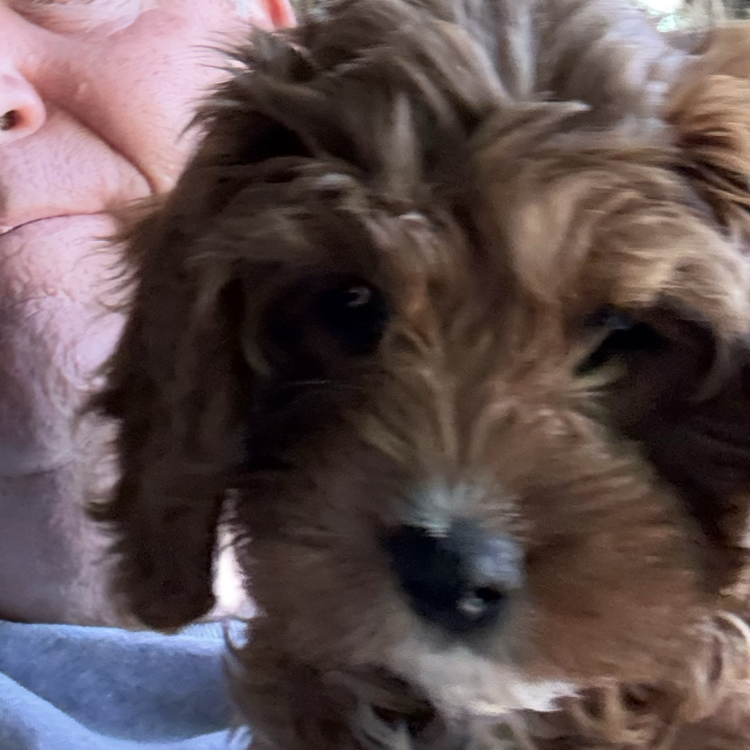 This poorly designed felony would have us all in prison if we did it today. Failed PROM invites from the 80's #prom