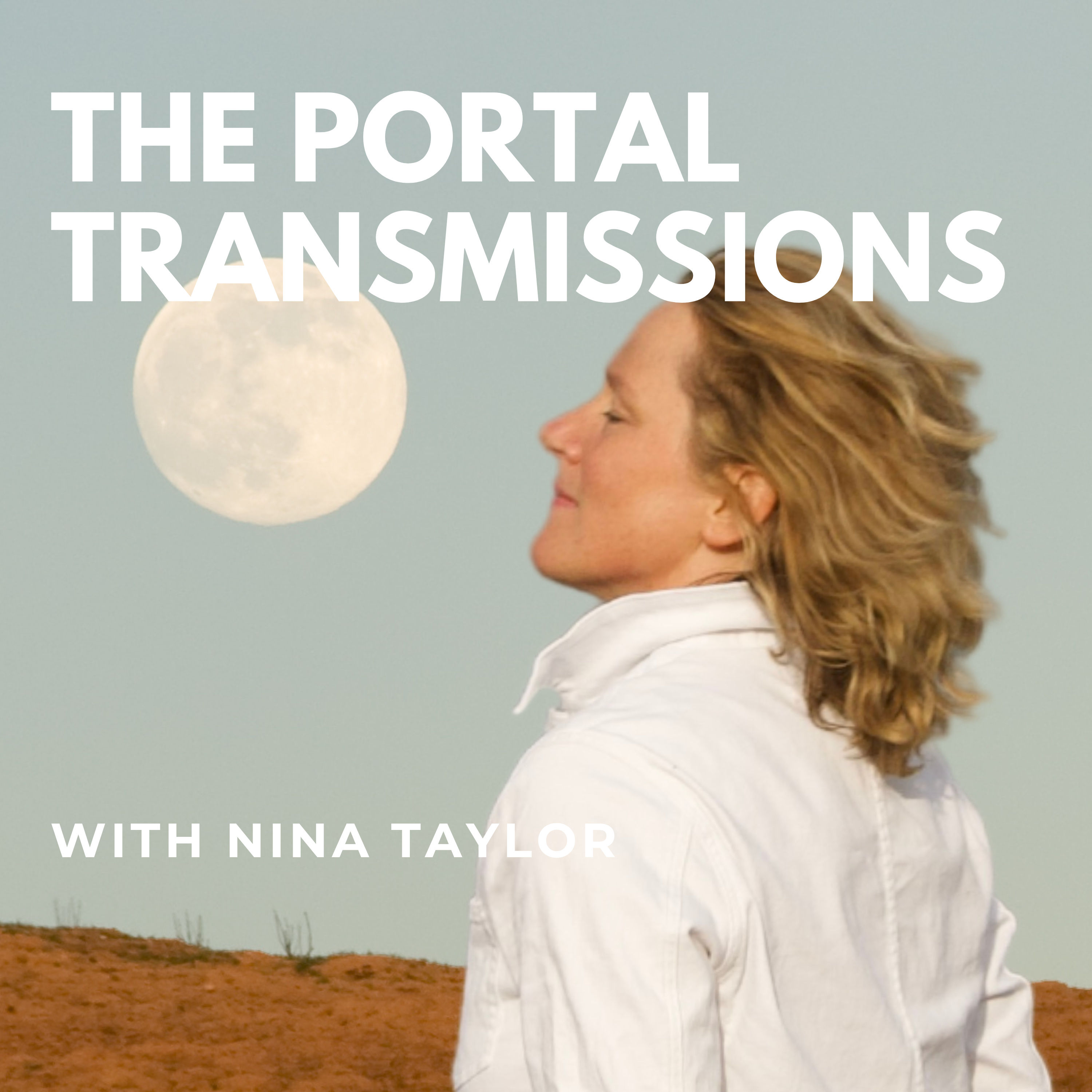 THE PORTAL TRANSMISSIONS