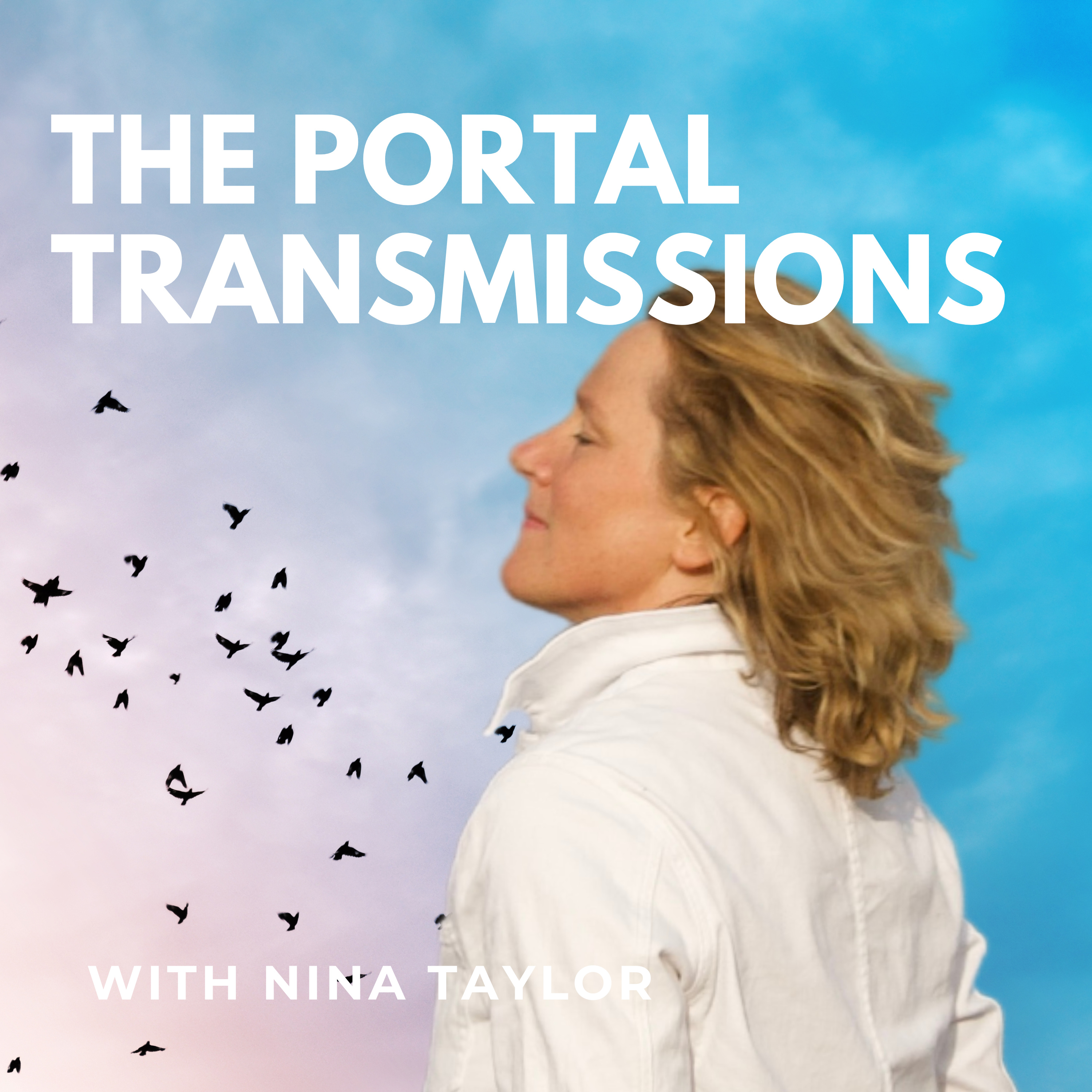 THE PORTAL TRANSMISSIONS