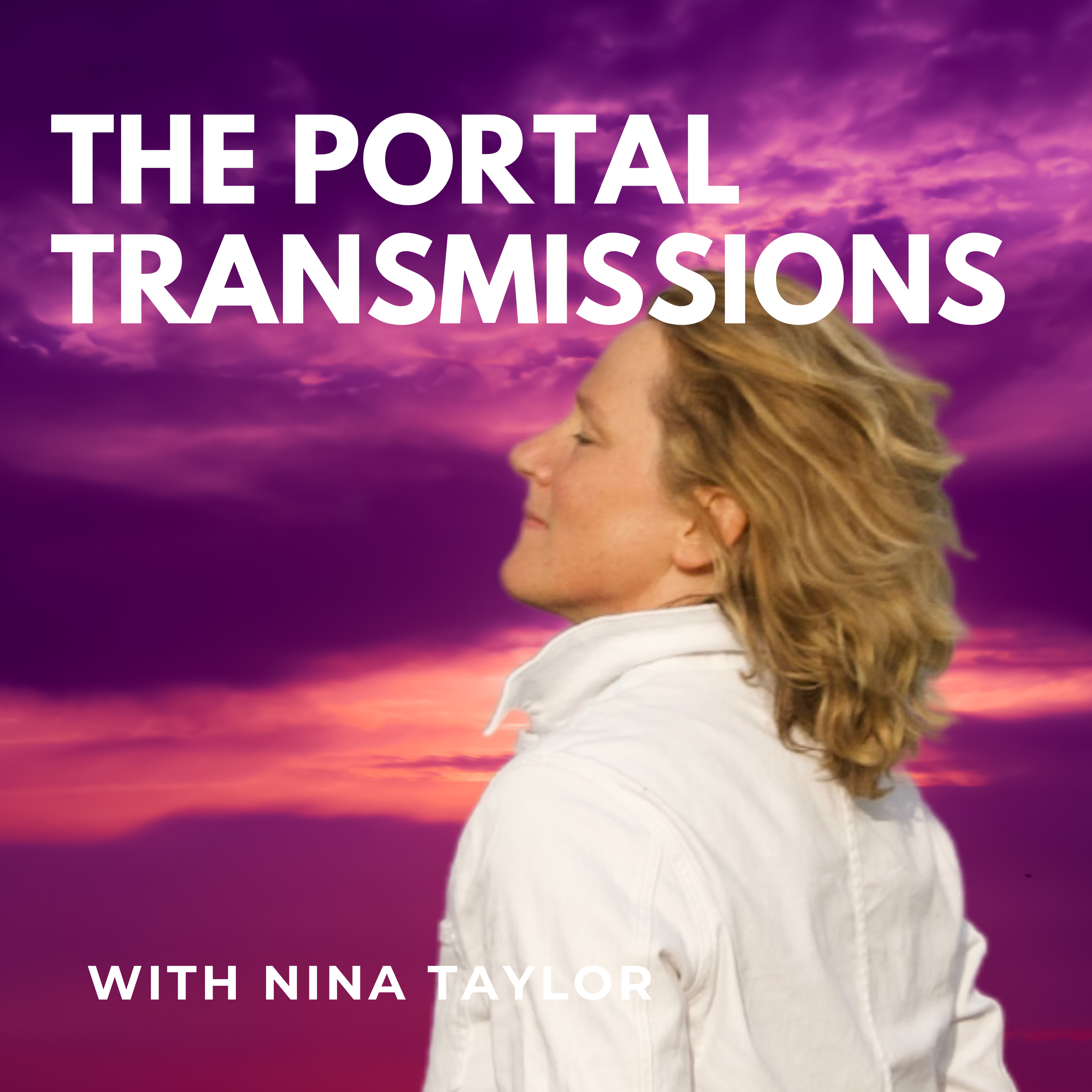 THE PORTAL TRANSMISSIONS