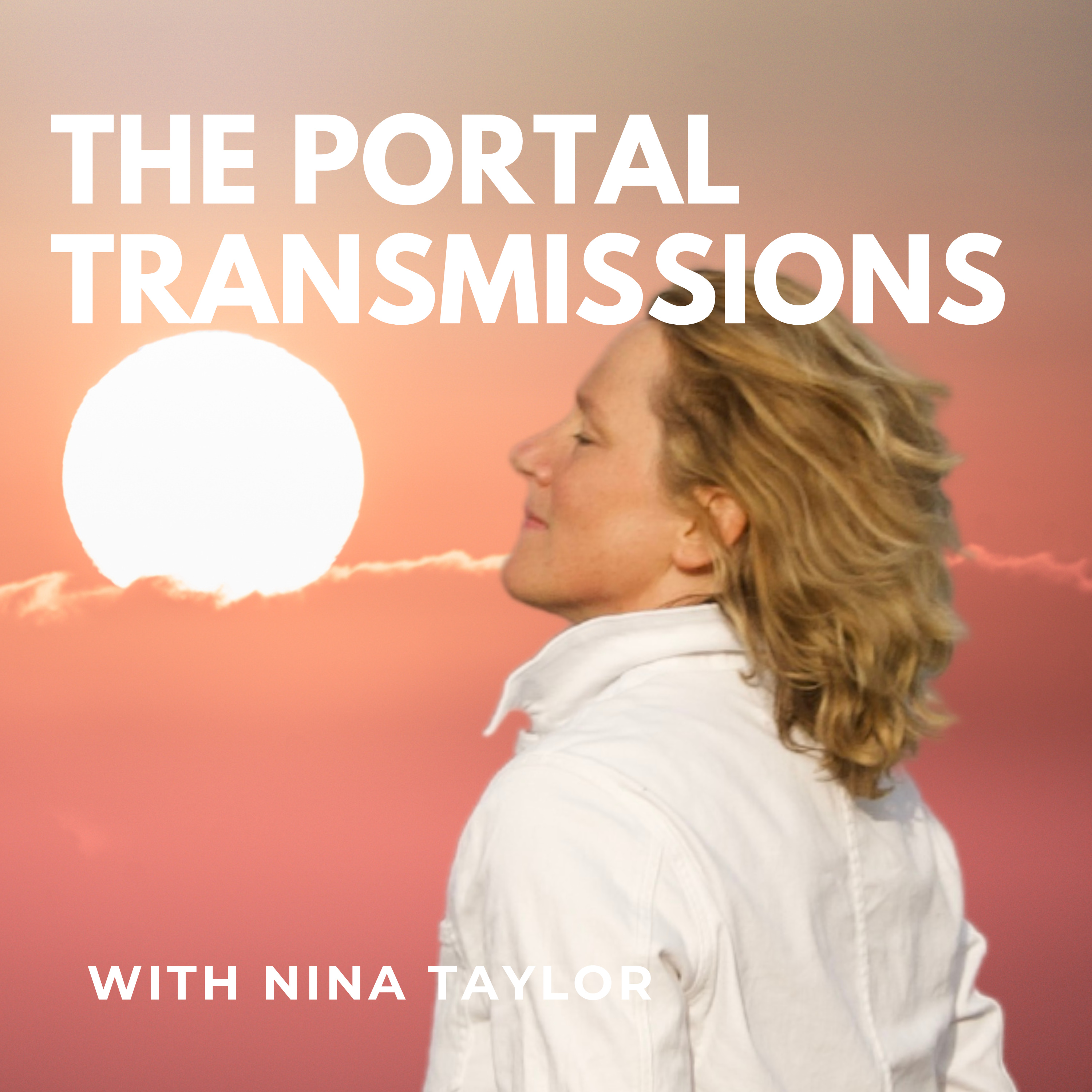 THE PORTAL TRANSMISSIONS