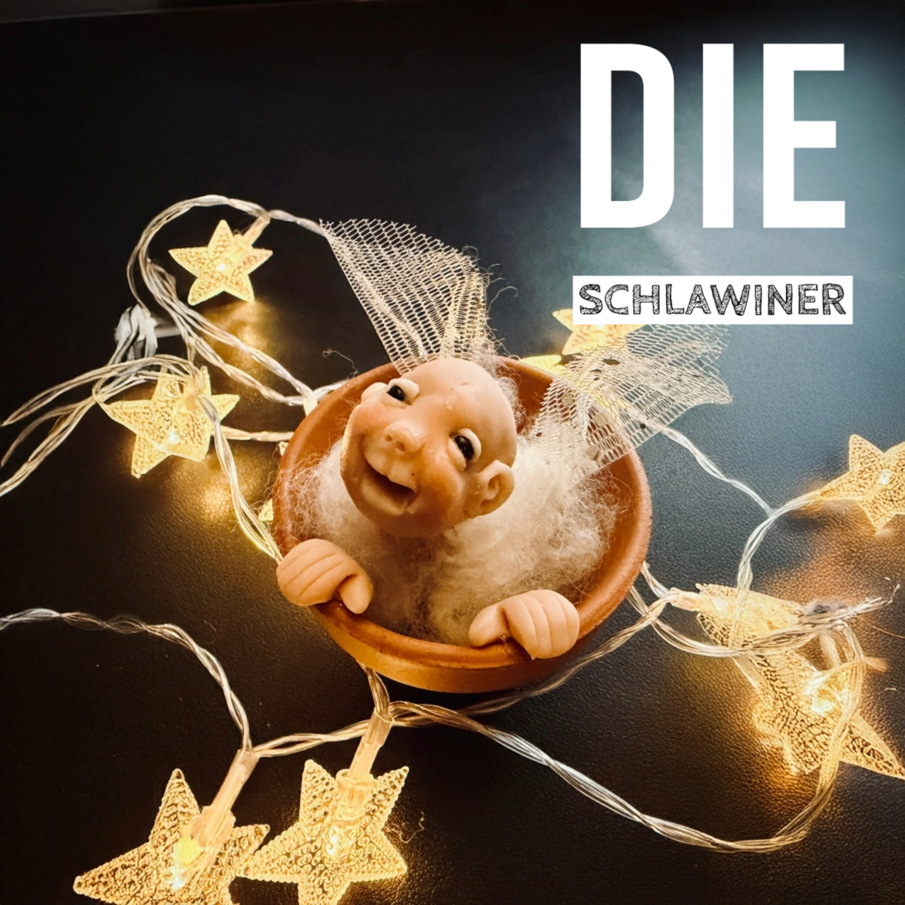 Die Schlawiner - Männer könnd au brüala - Wiahnachts Edition - #16 episode artwork