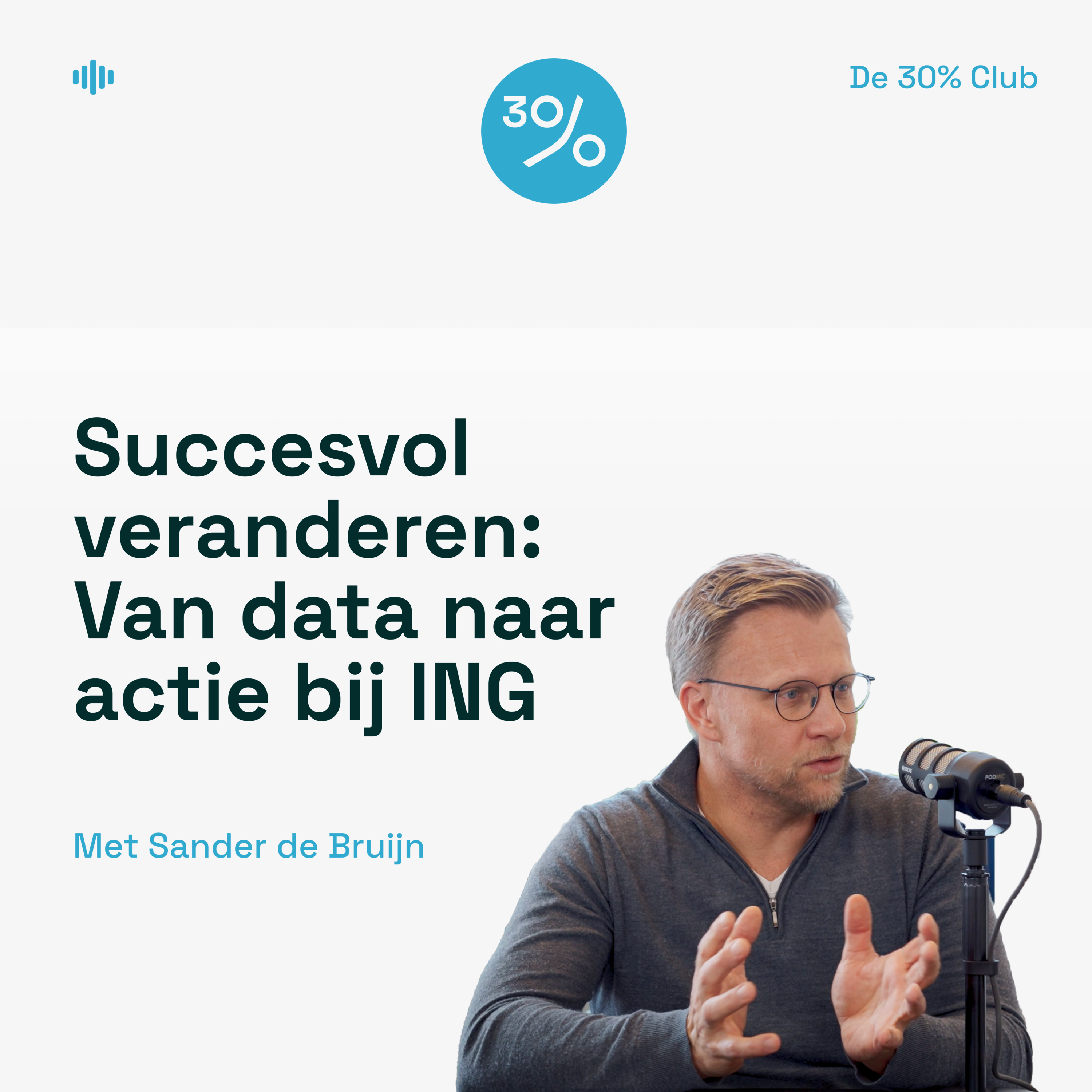 De 30% Club